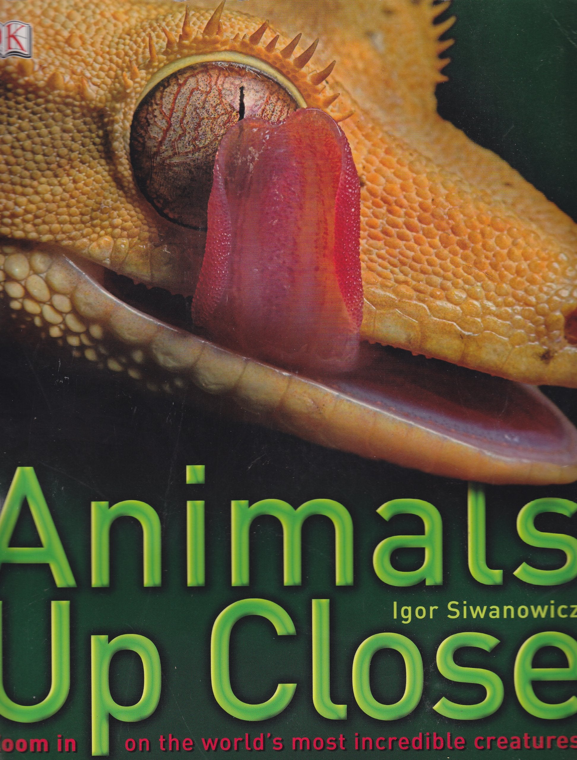 Animals Up Close: Zoom in on the World's Most Incredible Creatures Books