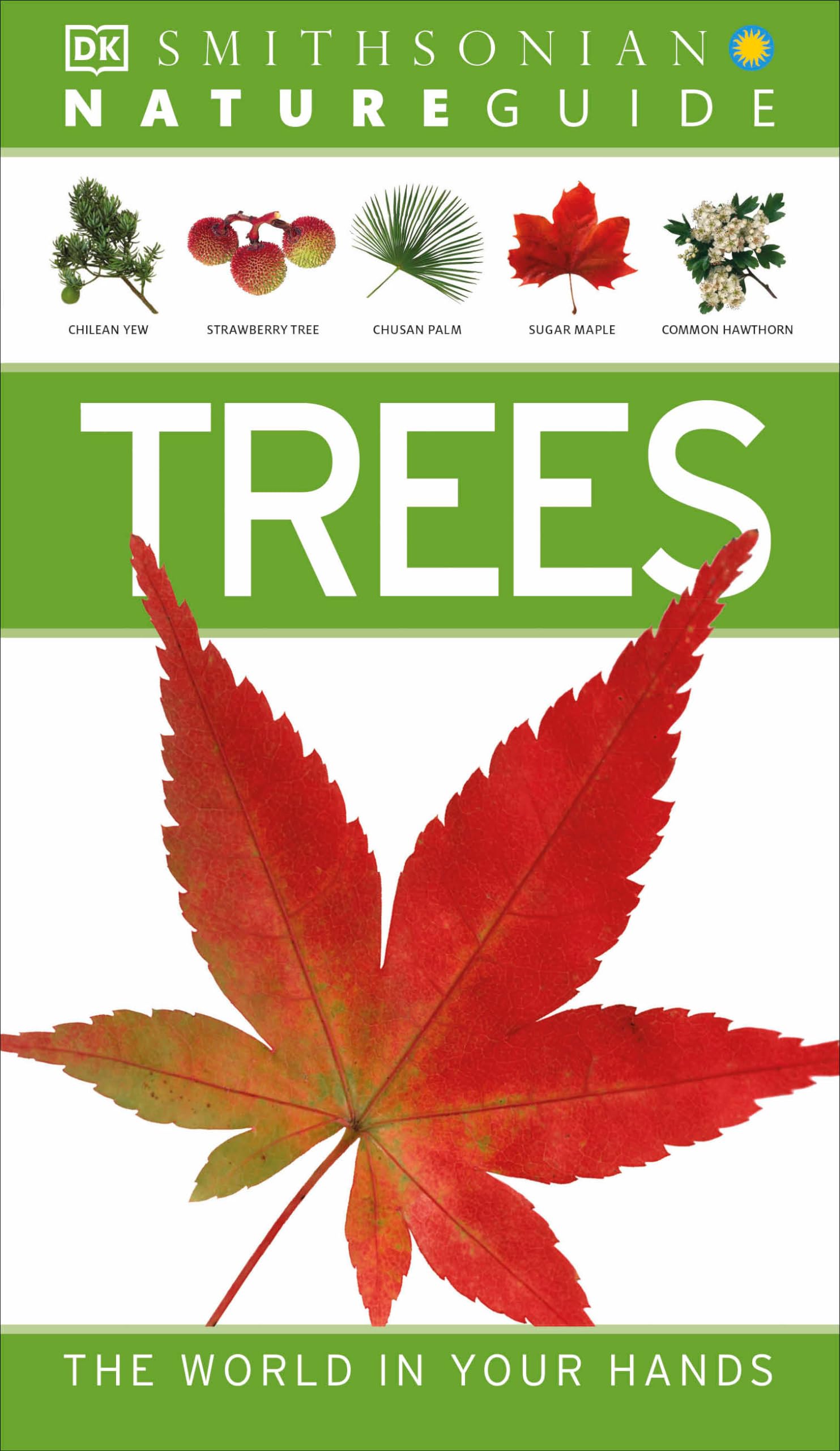 Nature Guide: Trees: The World in Your Hands (DK Nature Guides) Mathematics