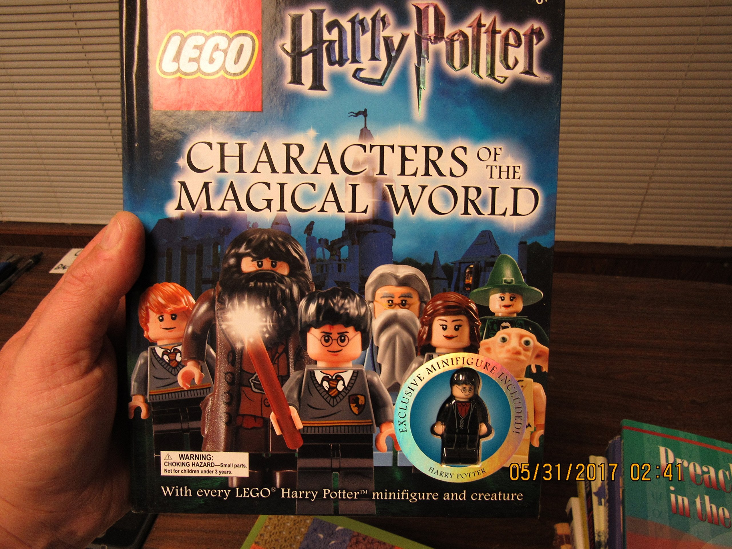 Lego Harry Potter: Characters of the Magical World Hobbies & Crafts