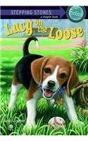 Lucy on the Loose (Absolutely Lucy (PB)) Books