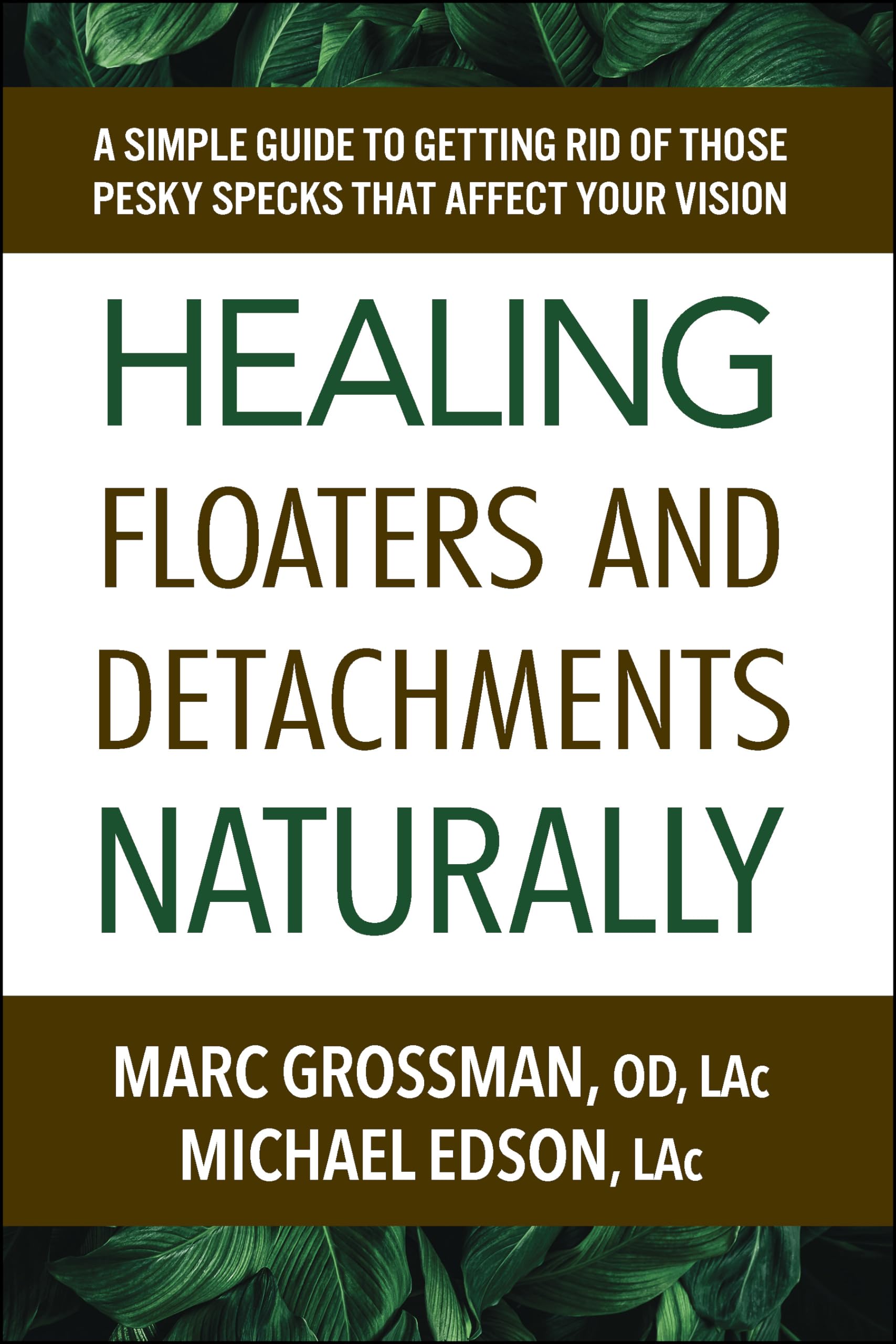 Healing Floaters and Detachments Naturally: A Simple Guide to Getting Rid of Those Pesky Specks That Affect Your Vision Medicine