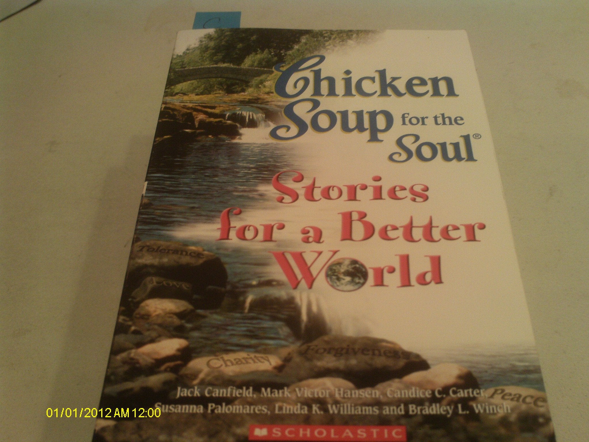 Chicken Soup Stories for a Better World (Chicken Soup for the Soul) Contemporary literature