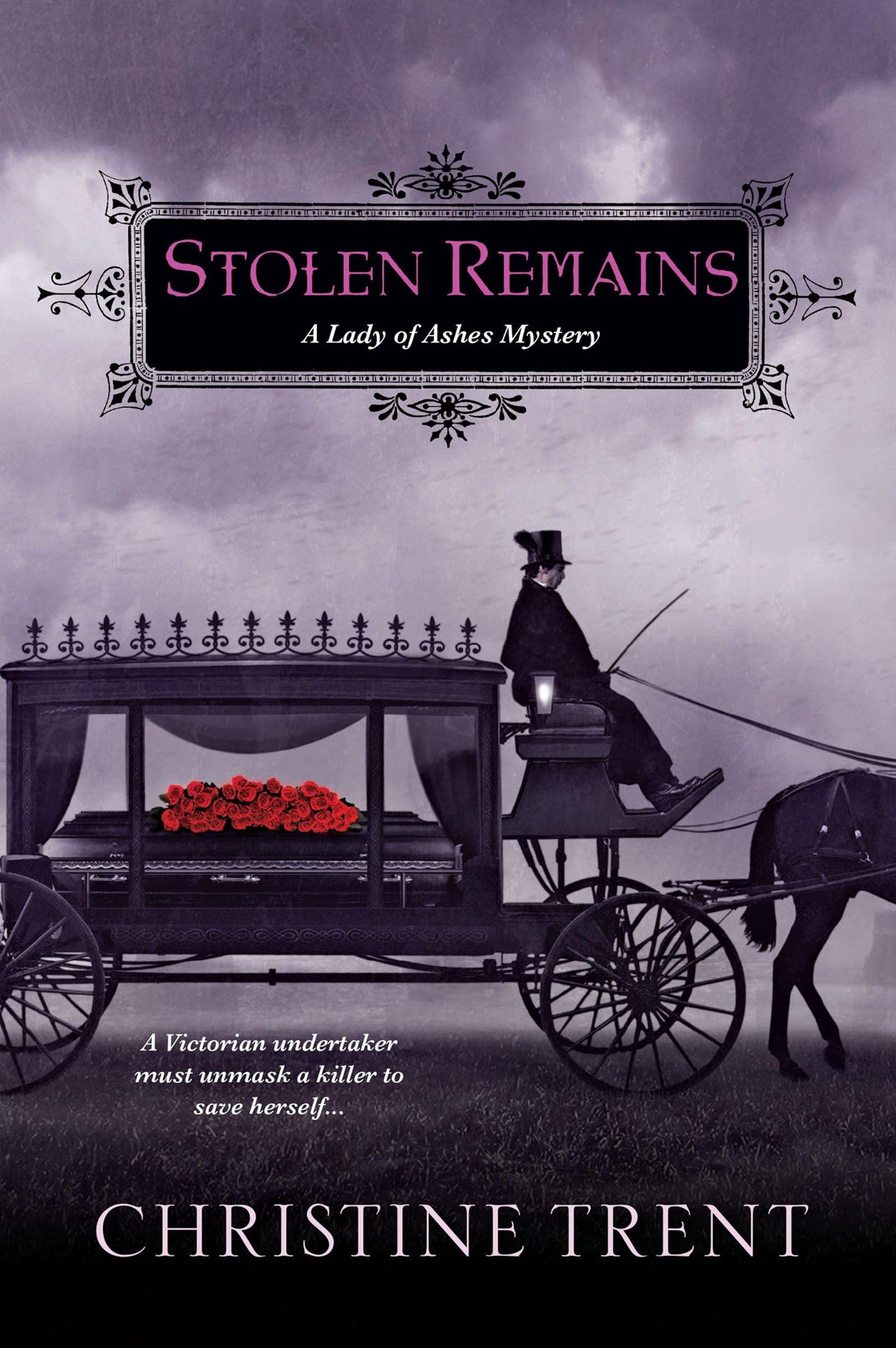 Stolen Remains: A Lady of Ashes Mystery Poetry
