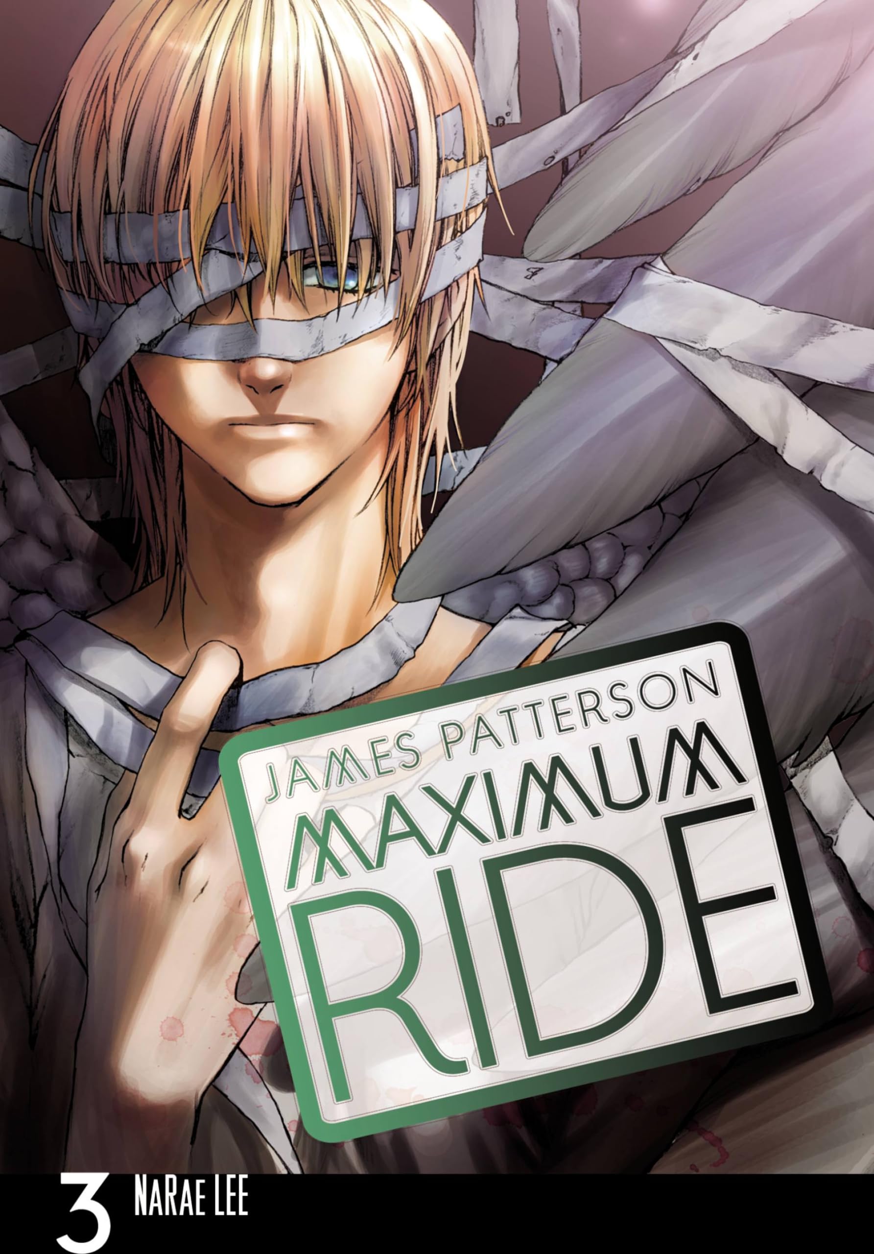 Maximum Ride: The Manga, Vol. 3 (MAXIMUM RIDE TP, Band 3) Manga
