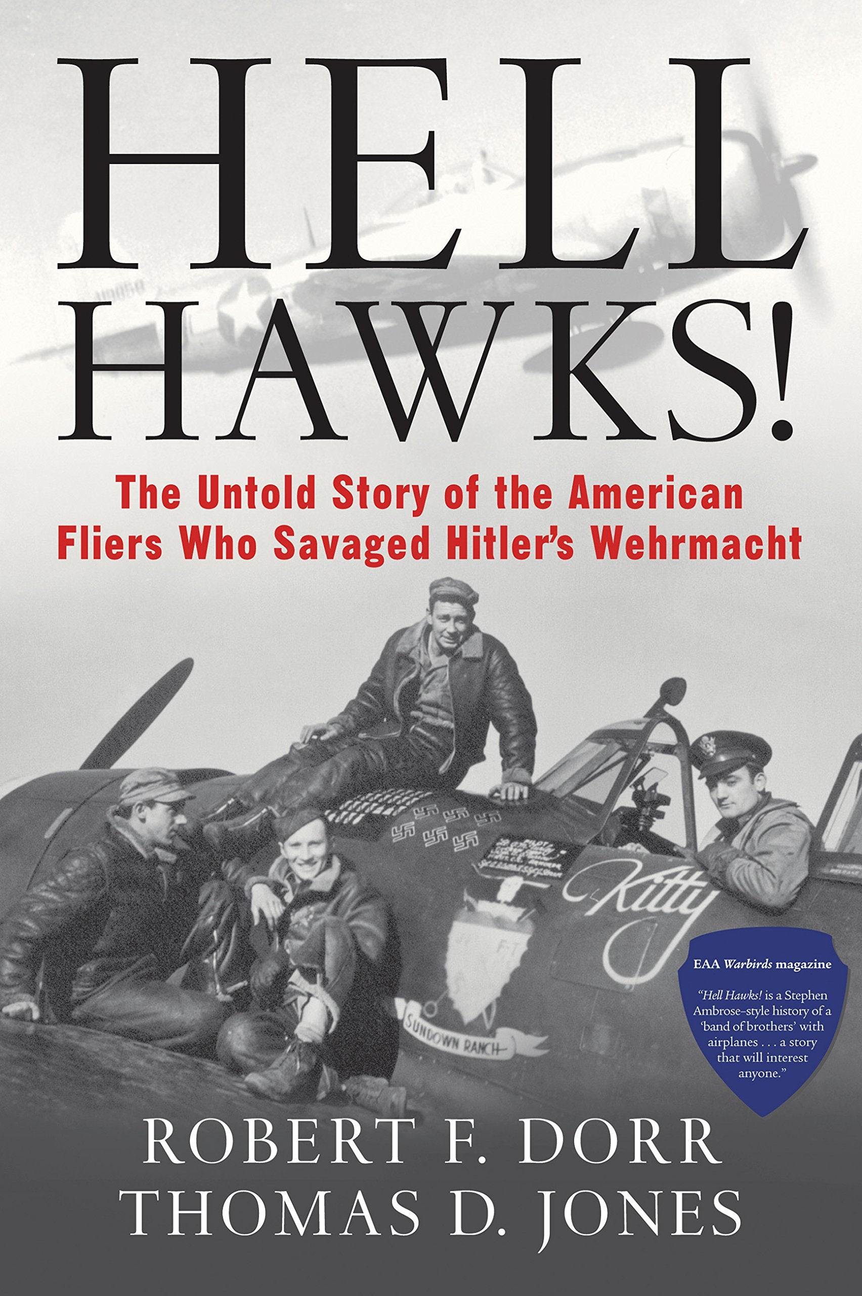 Hell Hawks!: The Untold Story of the American Fliers Who Savaged Hitler's Wehrmacht Social Sciences