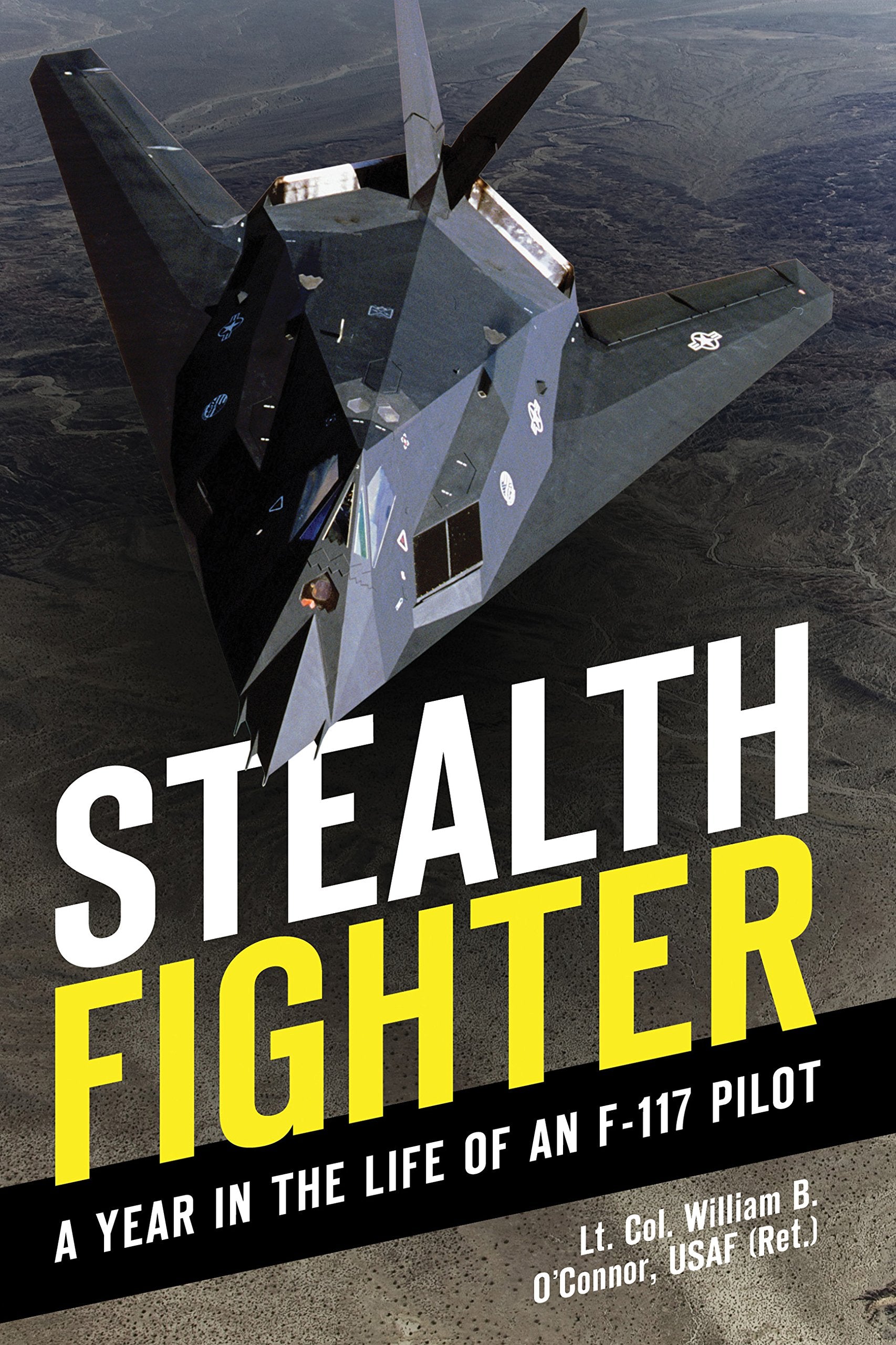 Stealth Fighter: A Year in the Life of an F-117 Pilot Business & Technology