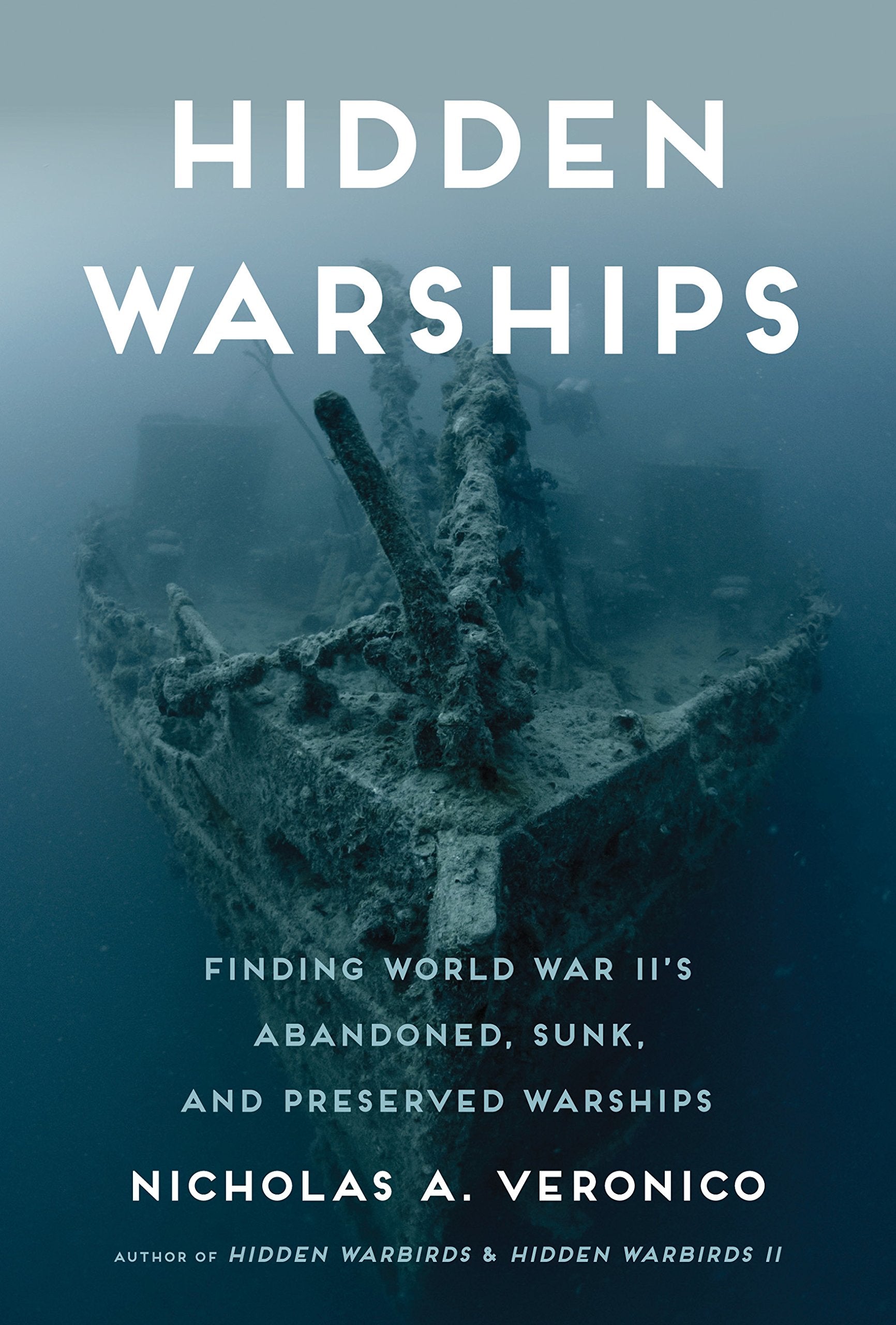 Hidden Warships: Finding World War II's Abandoned, Sunk, and Preserved Warships Social Sciences