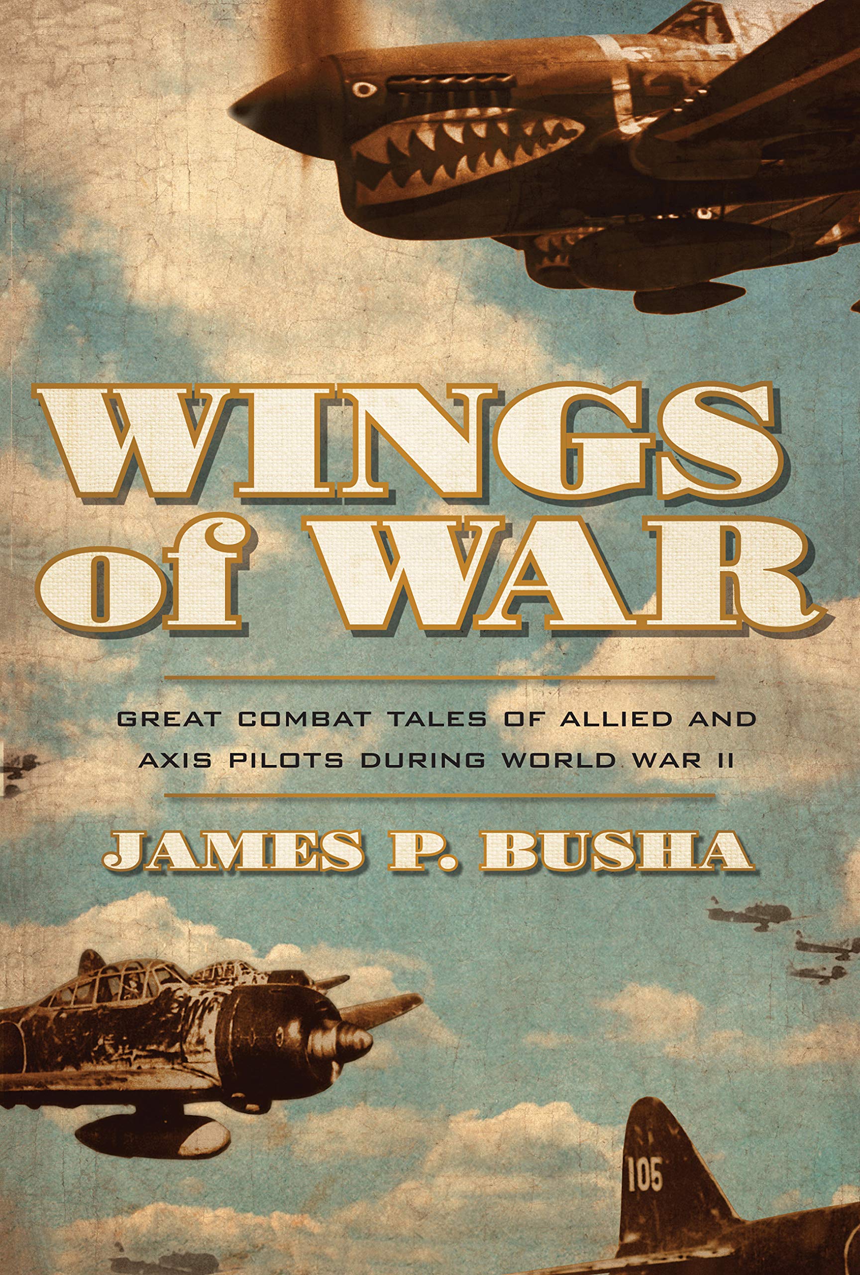Wings of War: Great Combat Tales of Allied and Axis Pilots During World War II Business & Technology