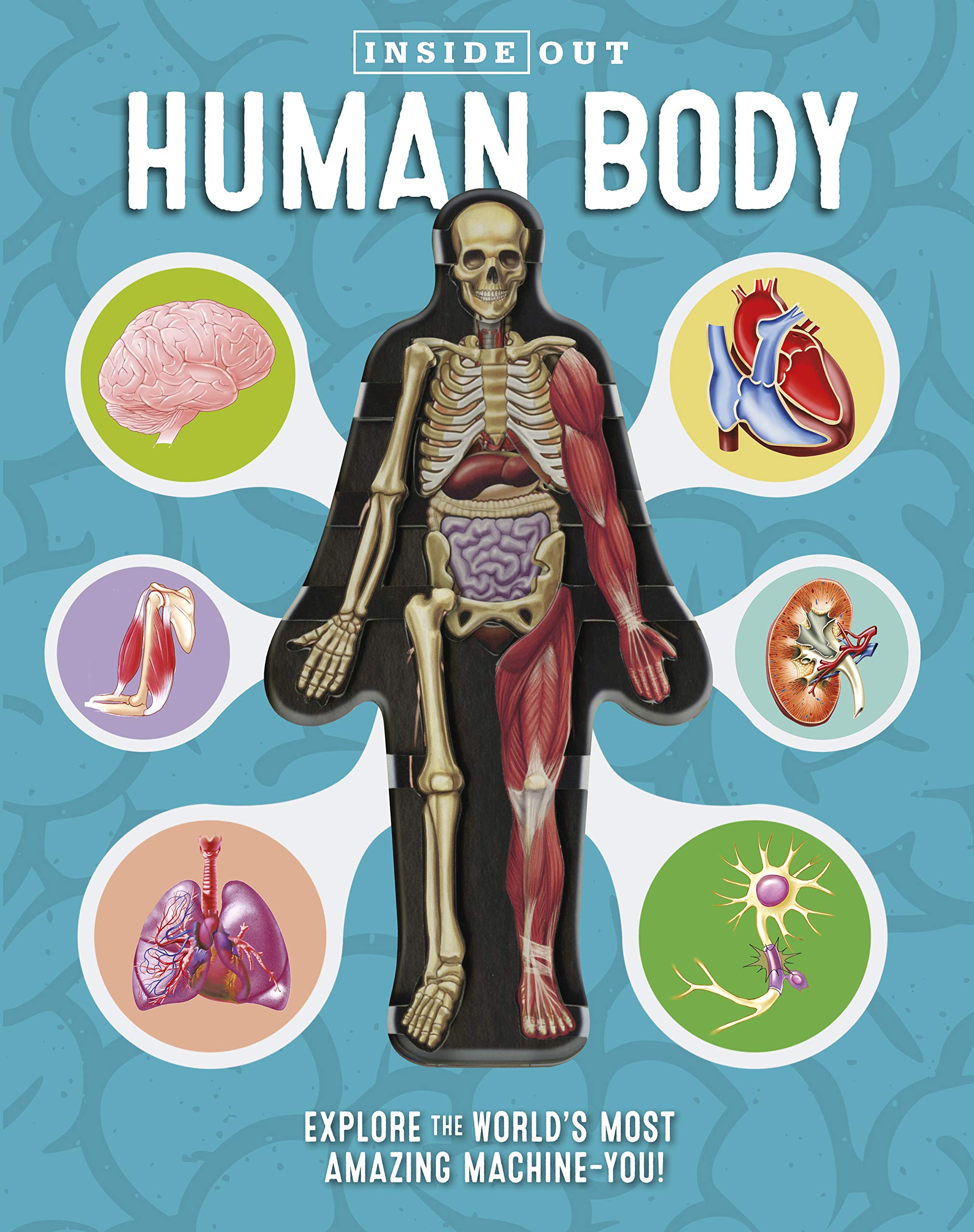 Inside Out Human Body Non-fiction