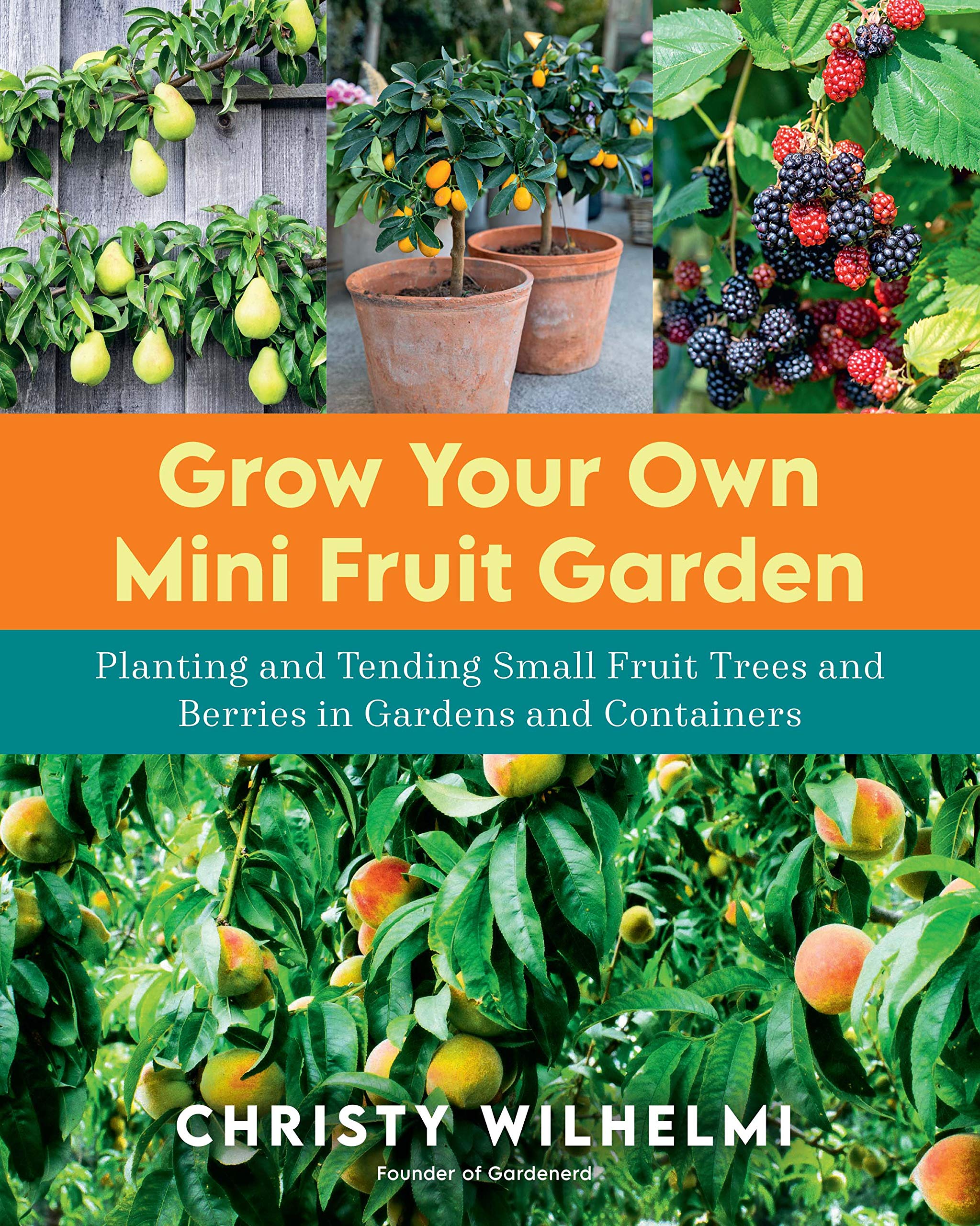 Grow Your Own Mini Fruit Garden: Planting and Tending Small Fruit Trees and Berries in Gardens and Containers Medicine