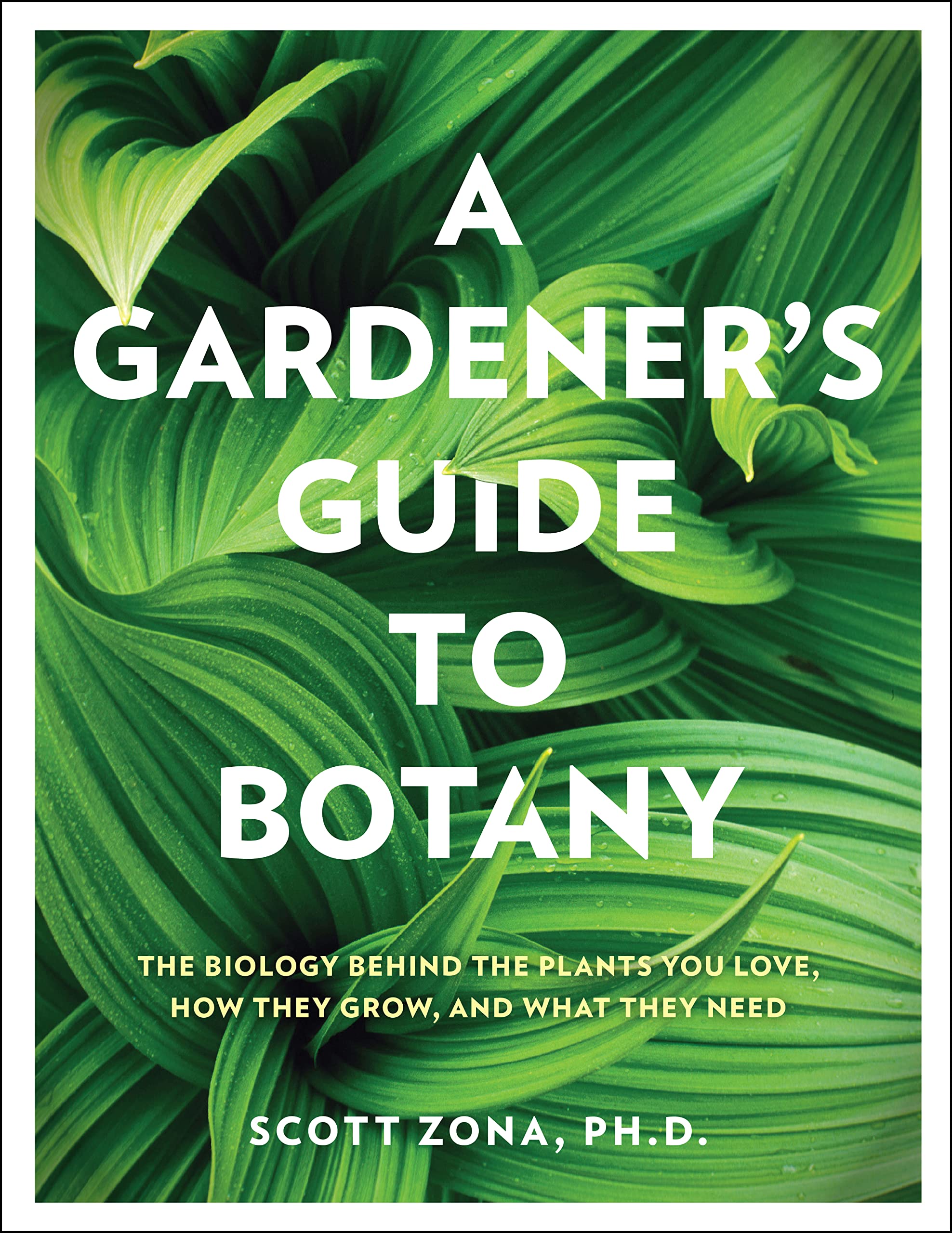 A Gardener's Guide to Botany: The biology behind the plants you love, how they grow, and what they need Garden & Plants