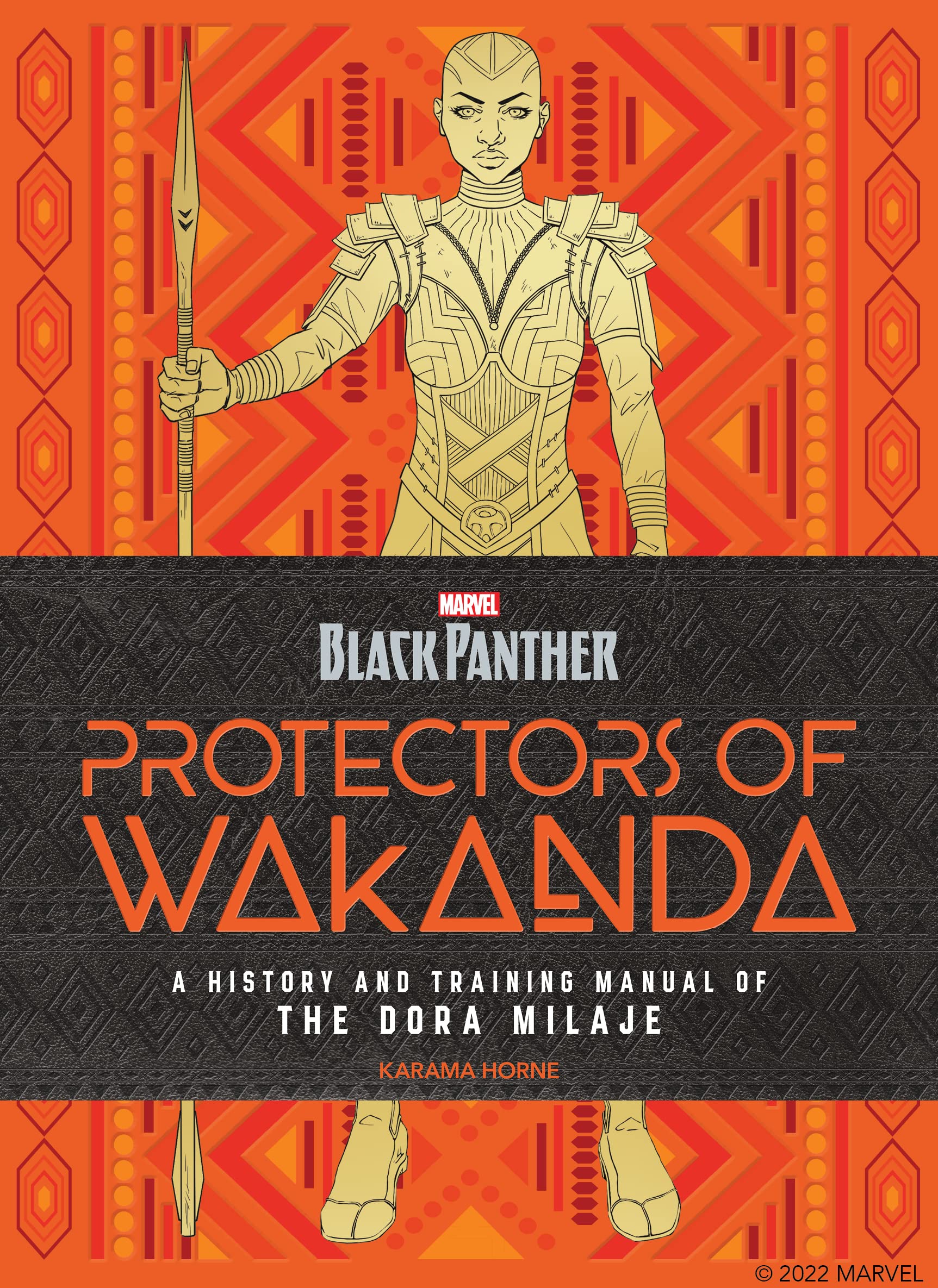 Black Panther: Protectors of Wakanda Contemporary literature