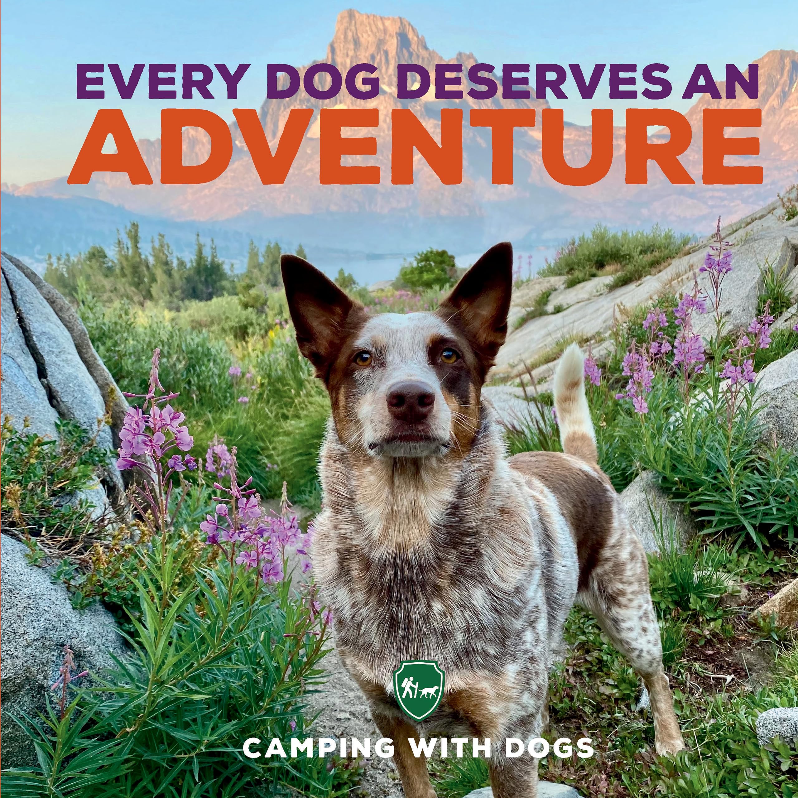 Every Dog Deserves an Adventure: Amazing Stories of Camping with Dogs Pets