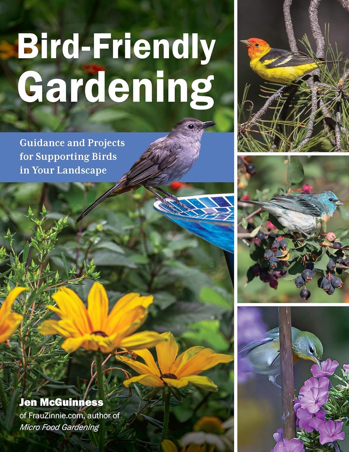 Bird-Friendly Gardening: Guidance and Projects for Supporting Birds in Your Landscape Mathematics