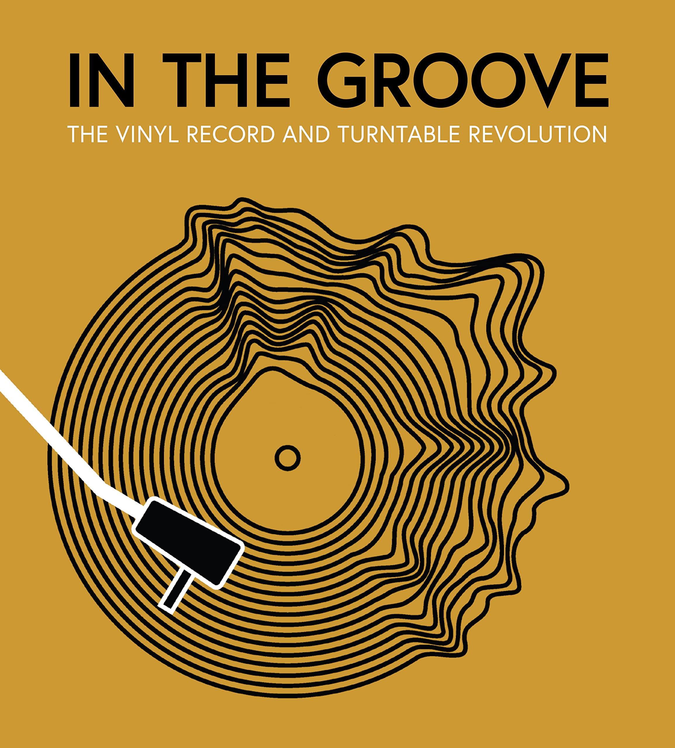 In the Groove: The Vinyl Record and Turntable Revolution Books