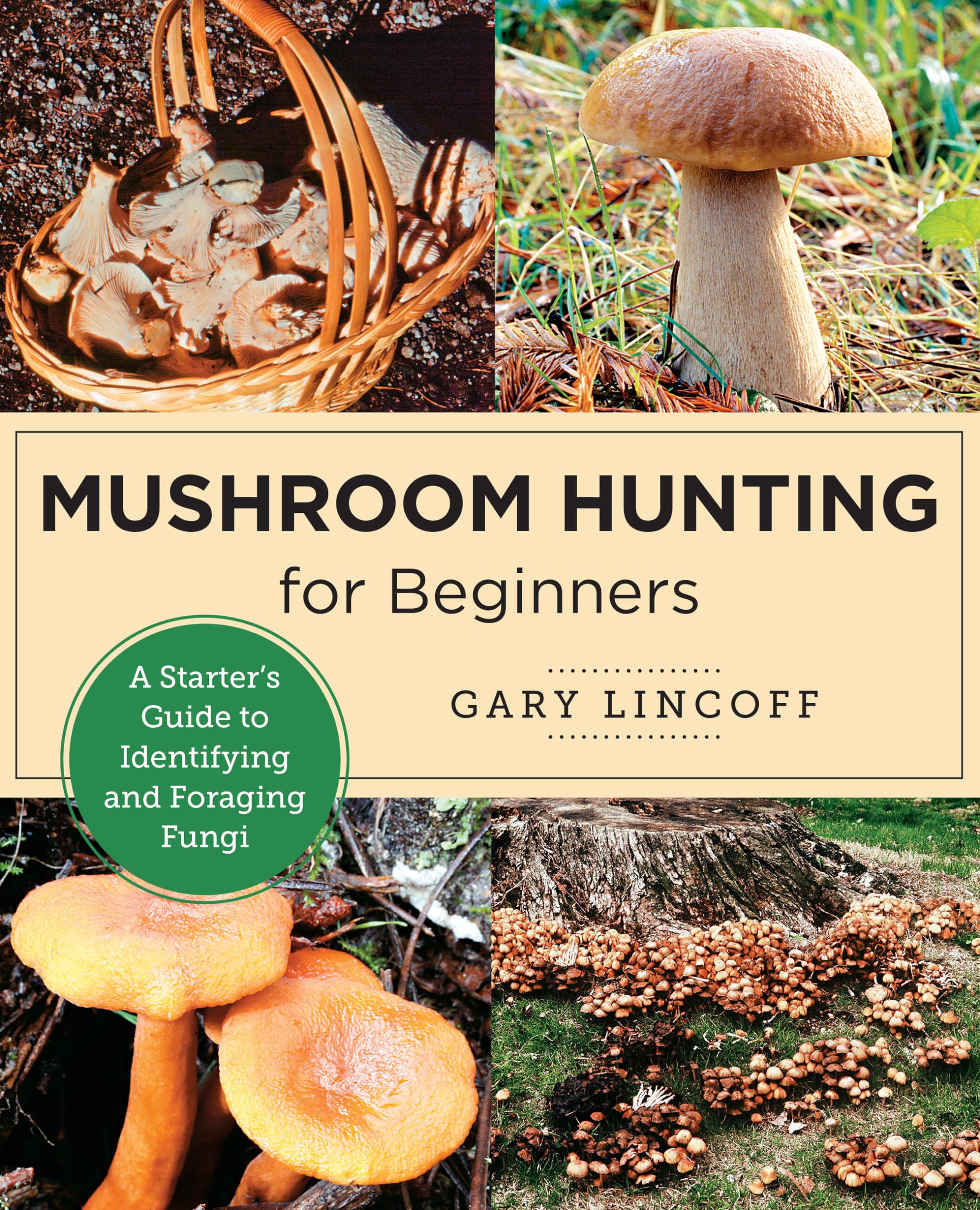 Mushroom Hunting for Beginners: A Starter's Guide to Identifying and Foraging Fungi (New Shoe Press) Mathematics