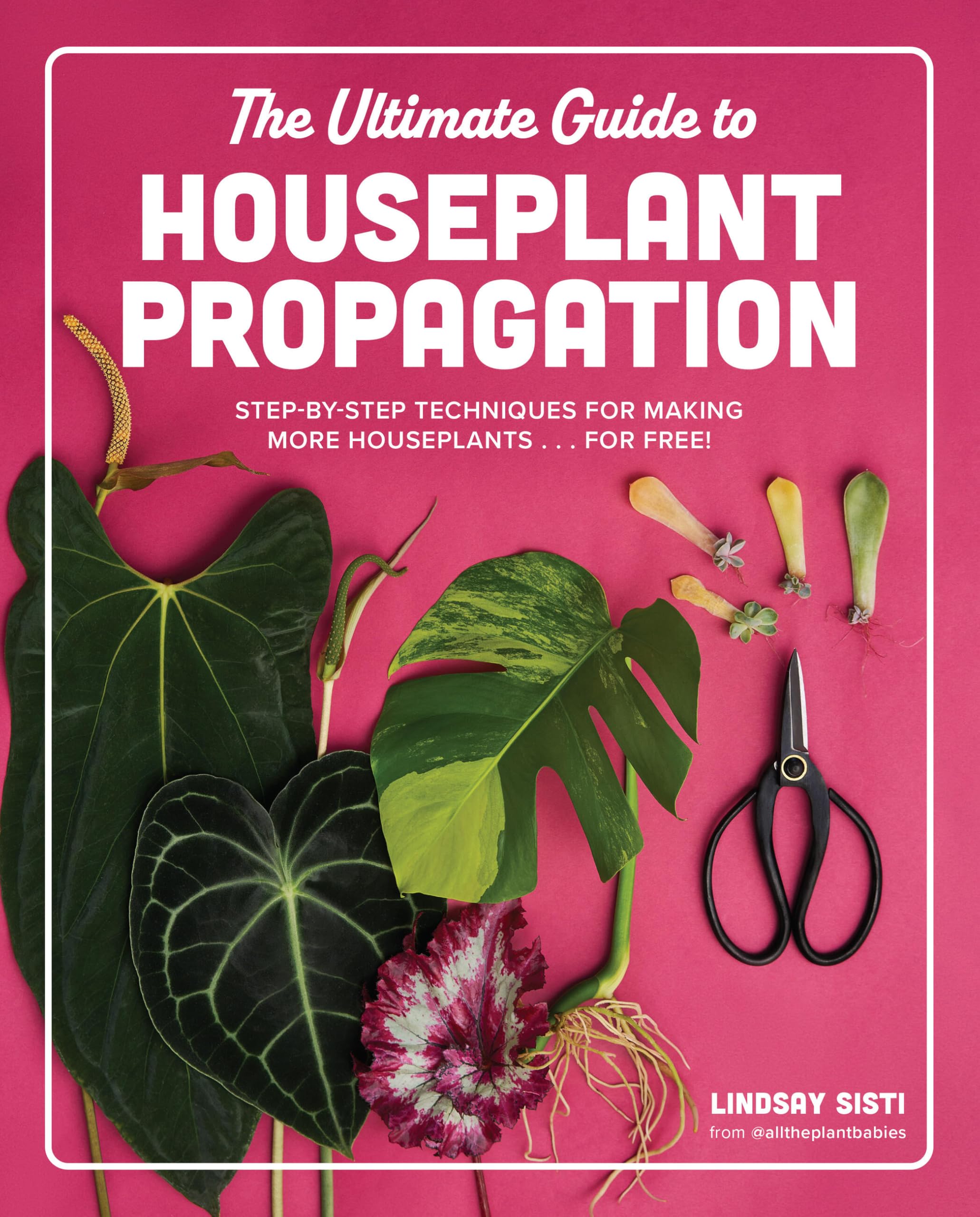 The Ultimate Guide to Houseplant Propagation: Step-by-Step Techniques for Making More Houseplants . . . for Free! Garden & Plants