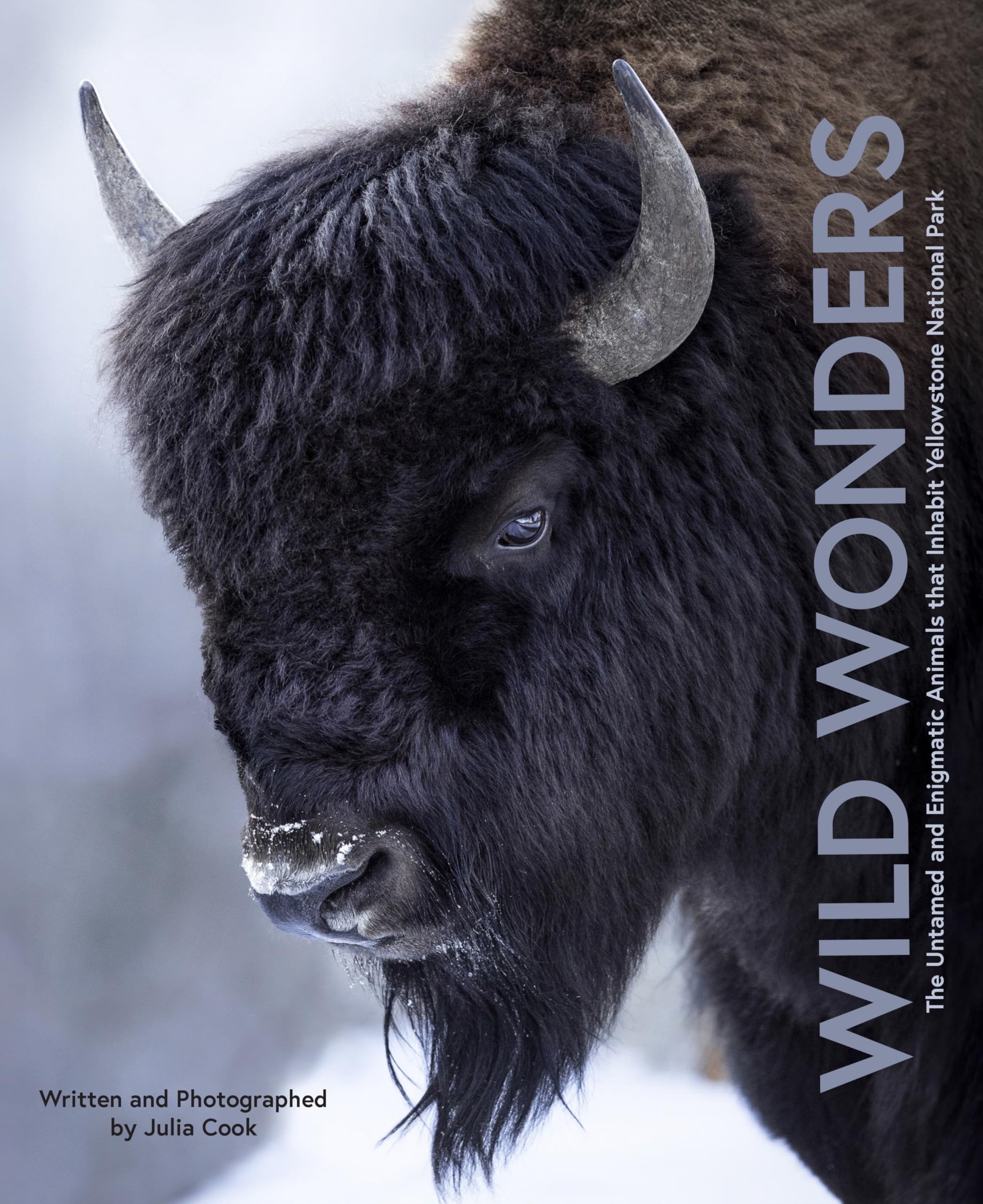 Wild Wonders: The Untamed and Enigmatic Animals that Inhabit Yellowstone National Park Nature & Animals