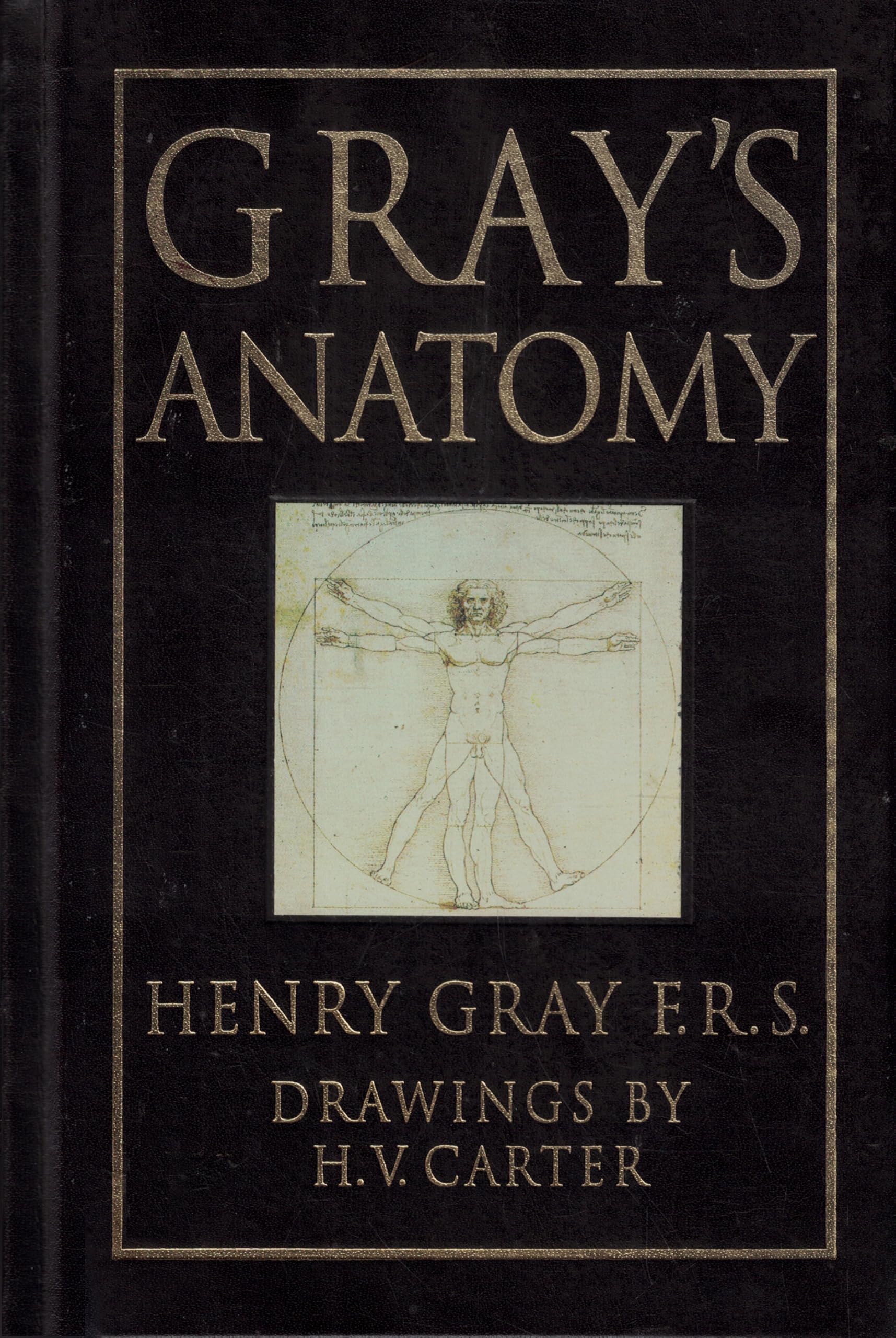 Gray's Anatomy Medicine