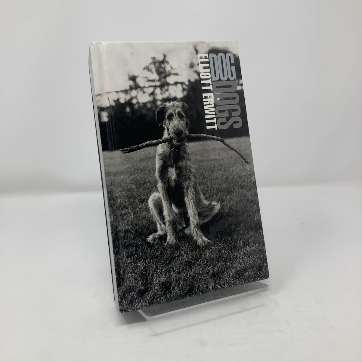 Dog Dogs by Elliott Erwitt (2002) Hardcover book