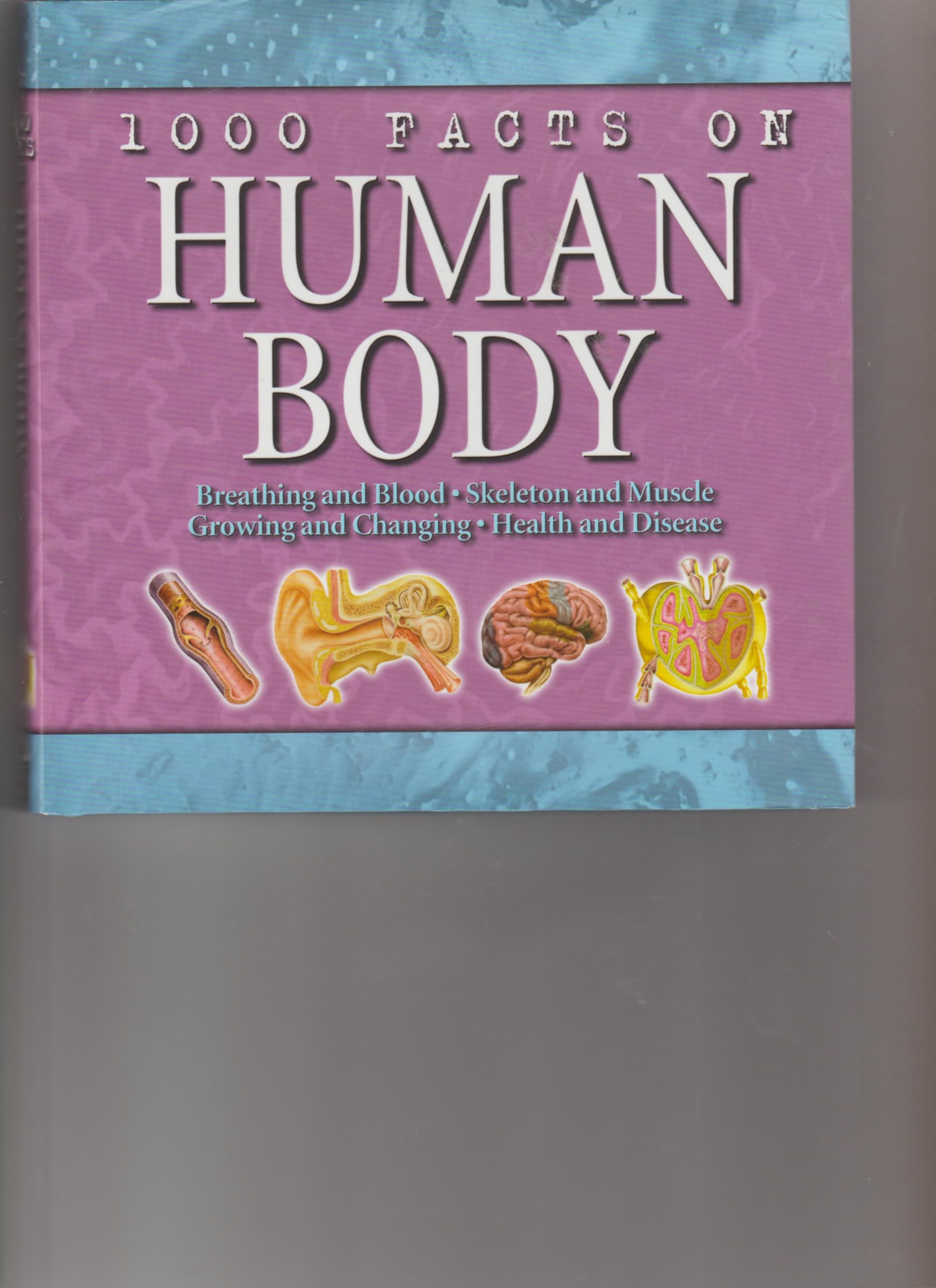 Product Image: 1000 facts on human body