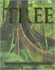 Tree: Wonder of the World Books