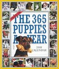 The 365 Puppies a Year 2000 Calendar: A Picture-A-Day Calendar With an Extra Puppy for Leap Year Pets
