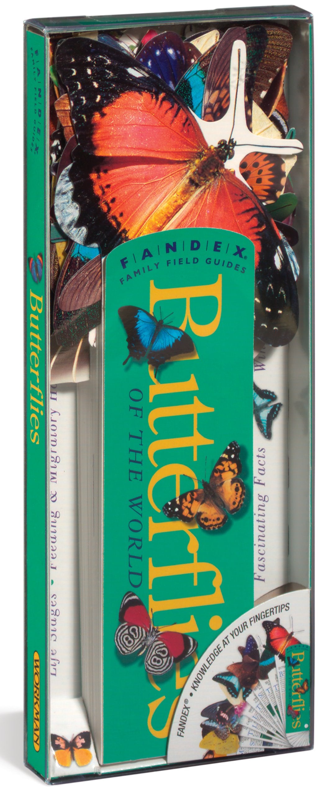 Butterflies of the World (Fandex Family Field Guides) Non-fiction