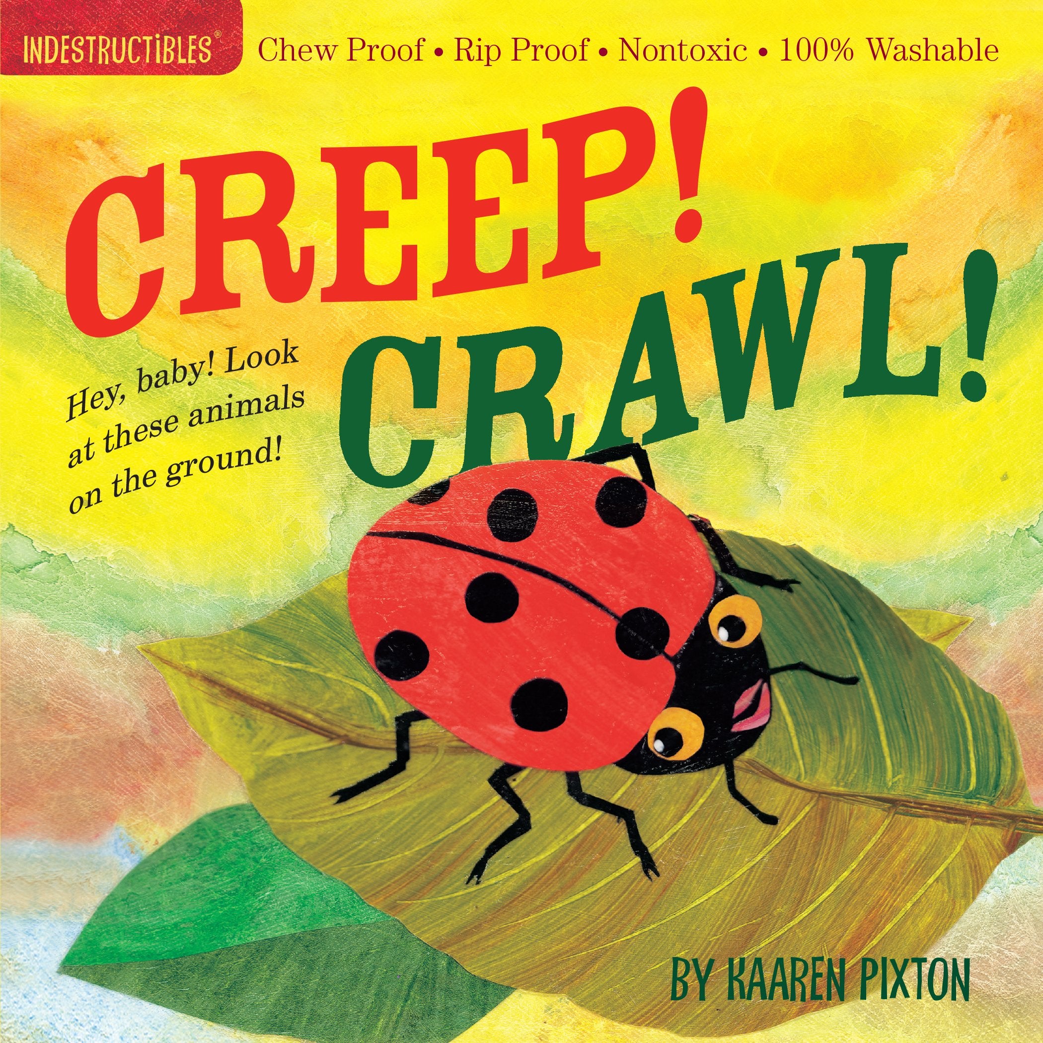 Indestructibles Creep! Crawl!: Chew Proof - Rip Proof - Nontoxic - 100% Washable (Book for Babies, Newborn Books, Safe to Chew) Parents & Children