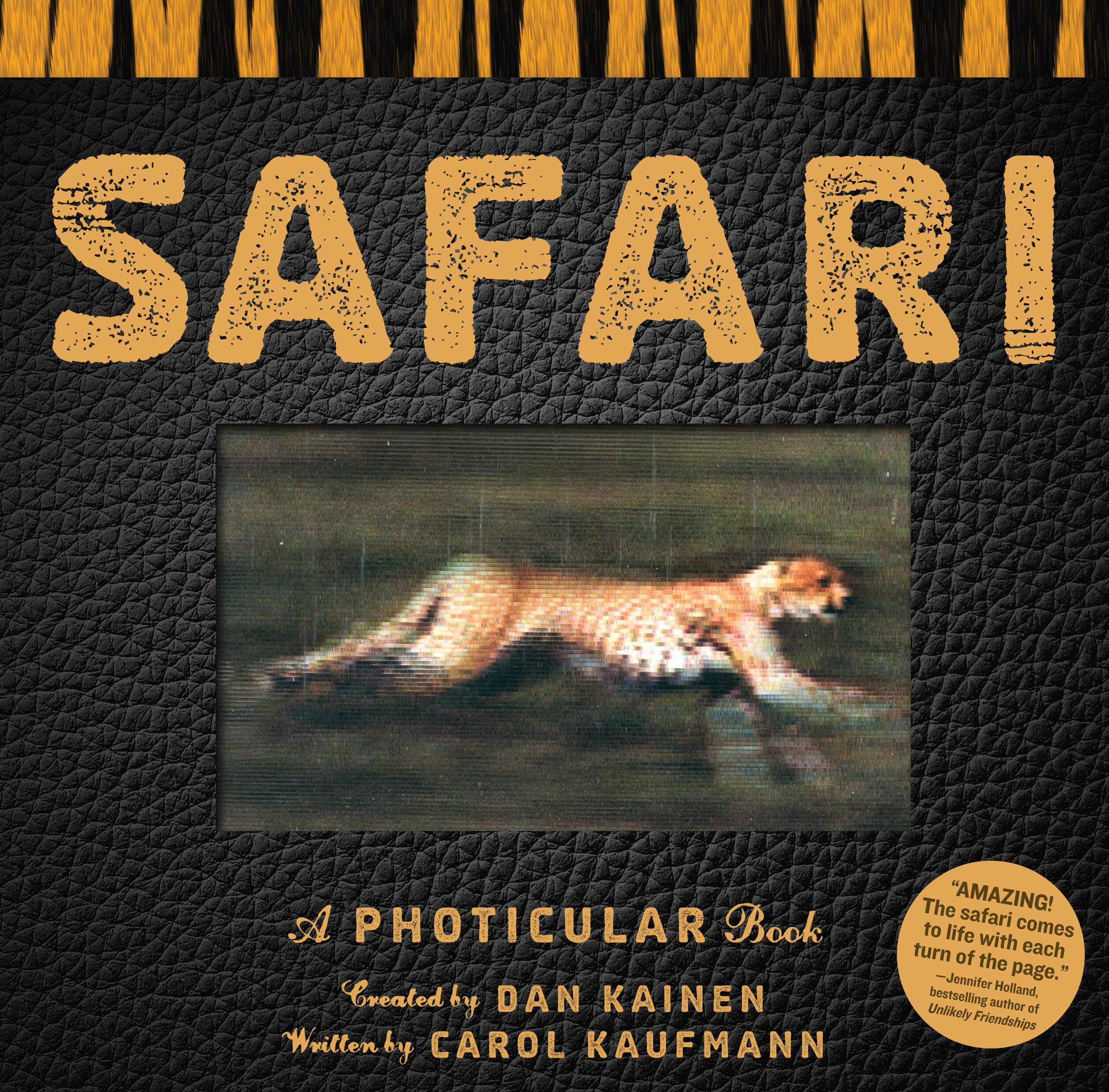 Safari Mathematics Books
