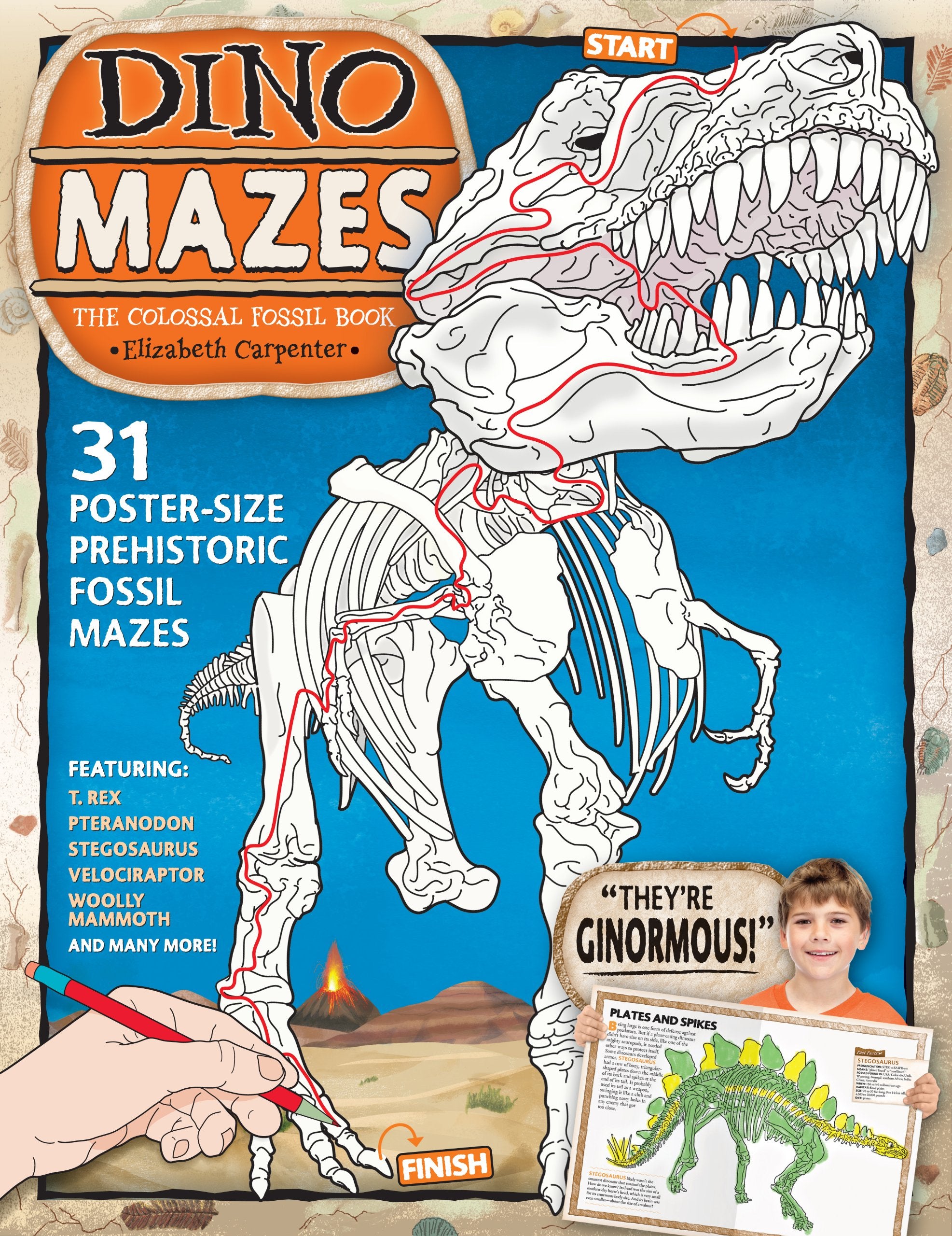 DinoMazes: The Colossal Fossil Book book