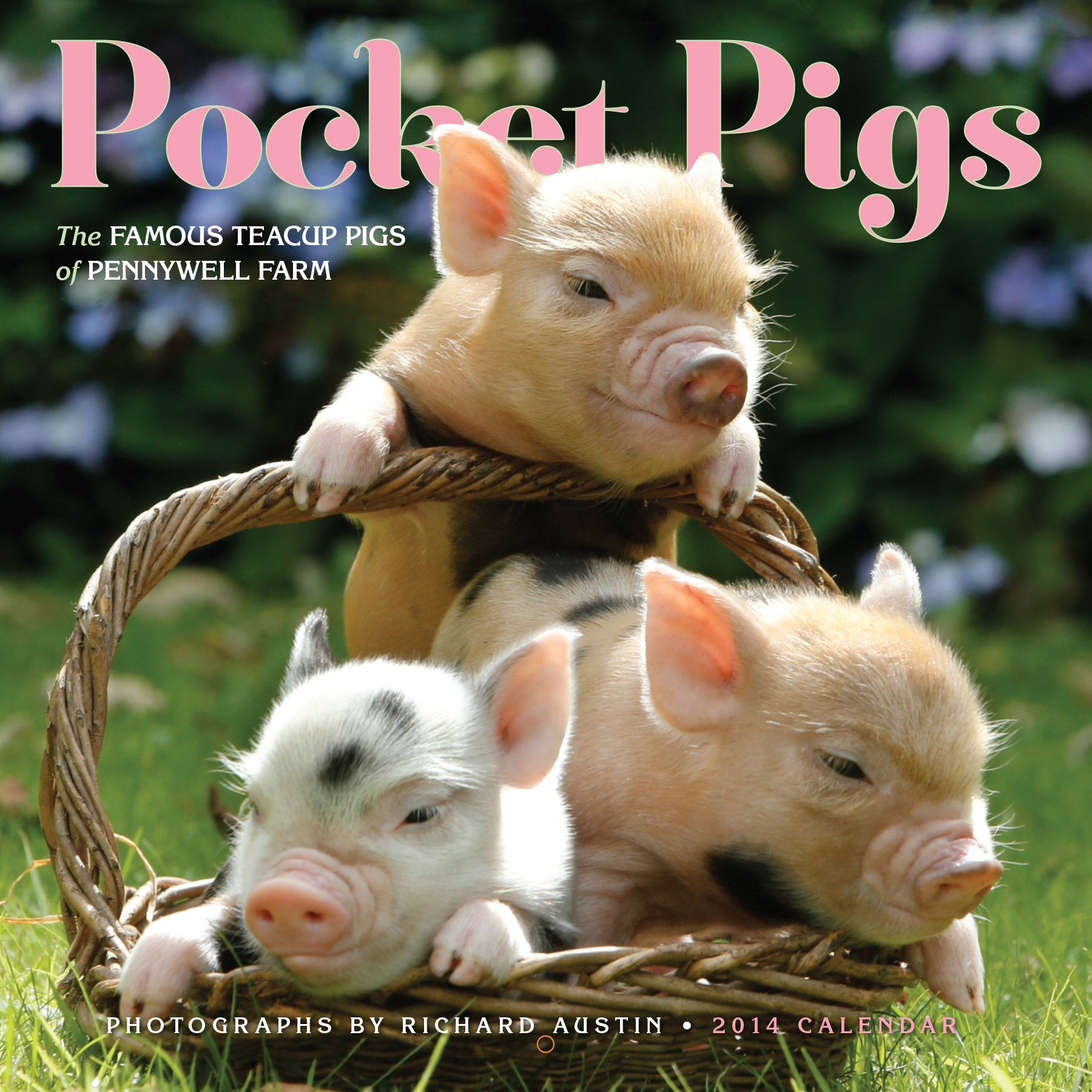 Pocket Pigs 2014 Calendar: The Famous Teacup Pigs of Pennywell Farm Mathematics