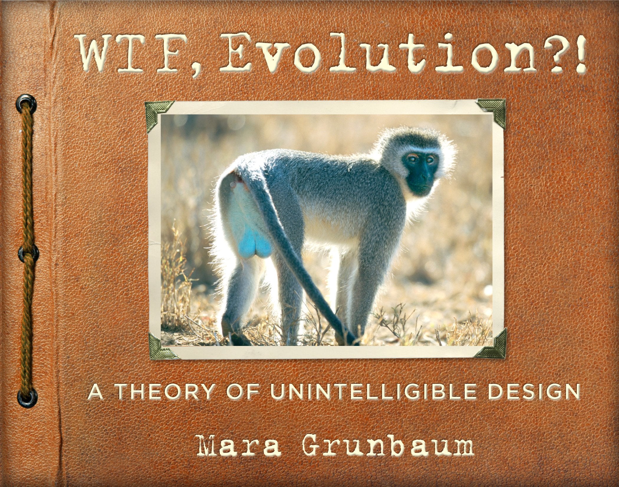 Product Image: WTF, Evolution?!: A Theory of Unintelligible Design
