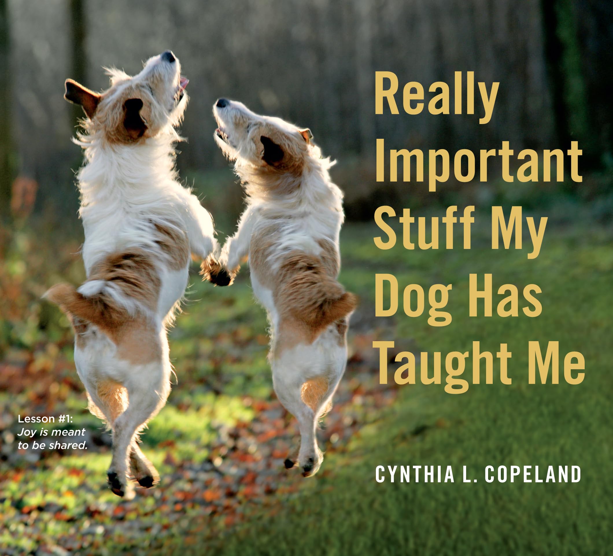 Really Important Stuff My Dog Has Taught Me Business, Finance & Career