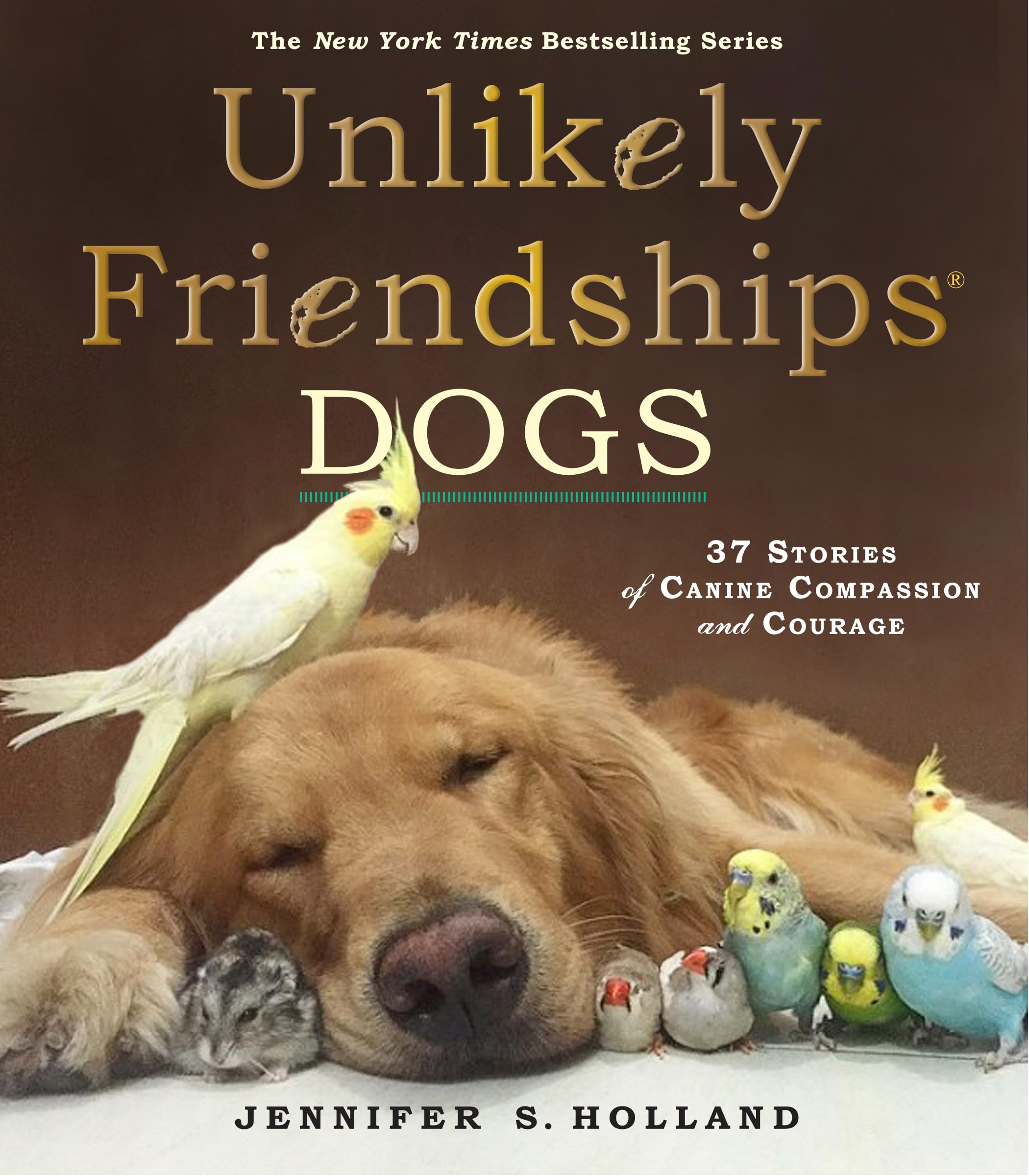 Unlikely Friendships: Dogs Books