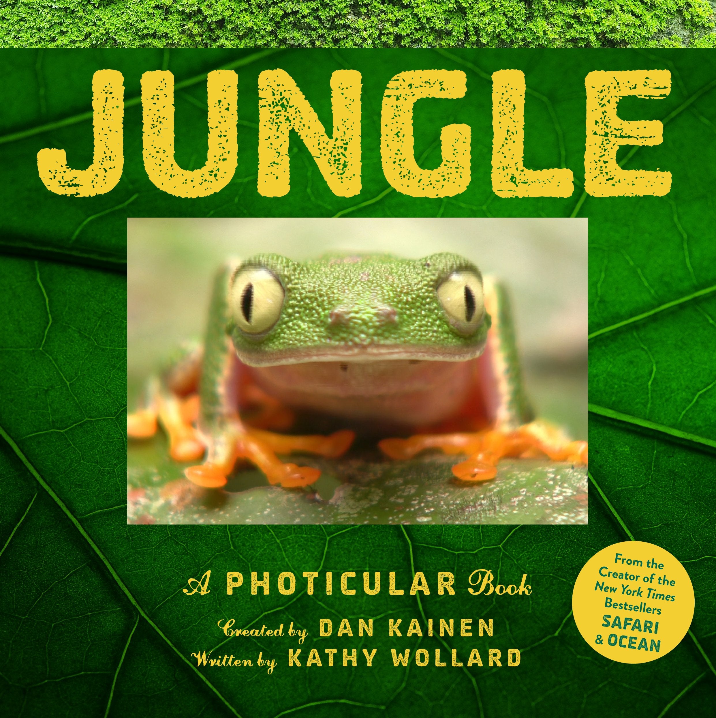 Jungle: A Photicular Book Geology & Geography