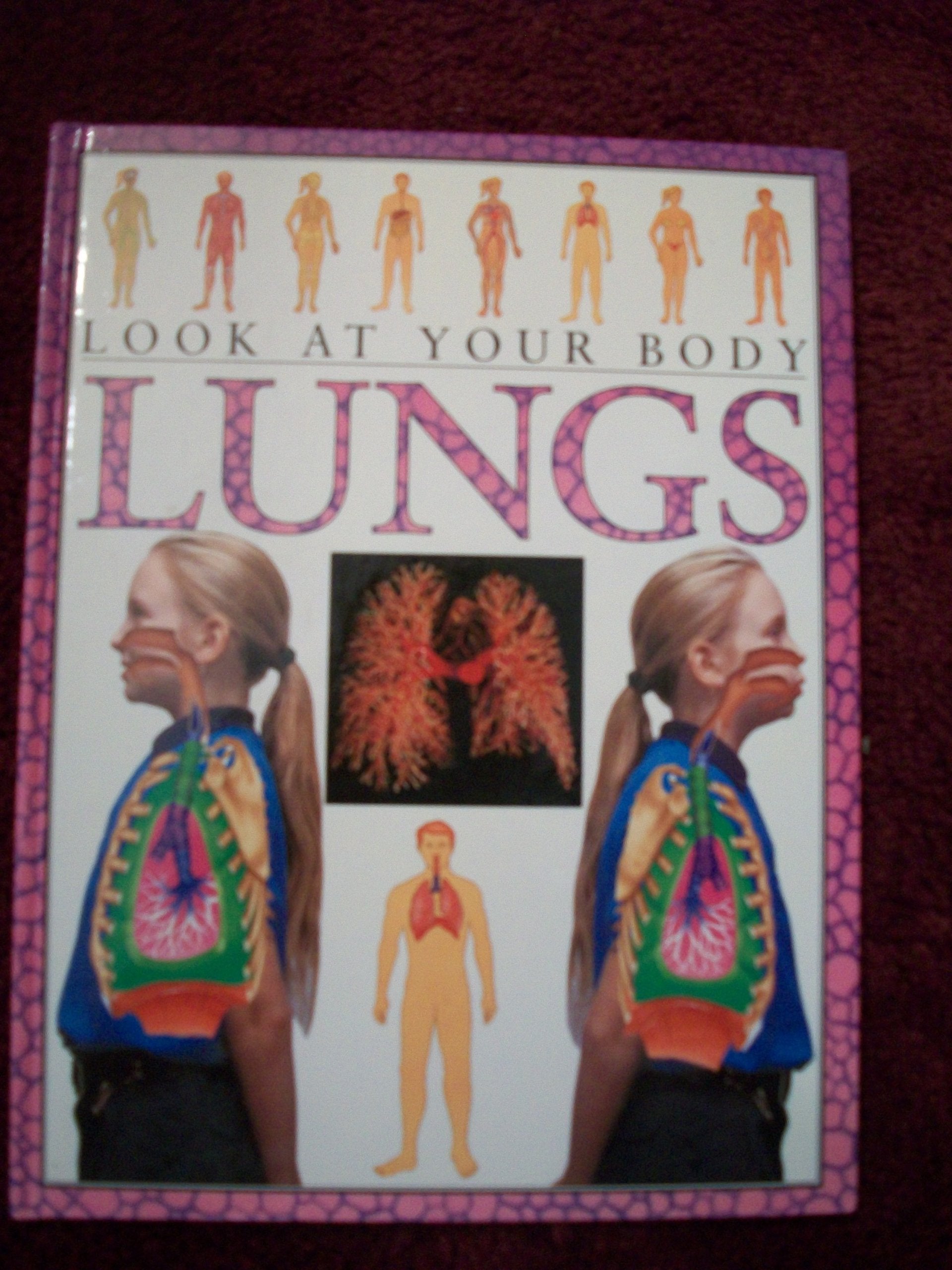 Product Image: Lungs (Look at Your Body)