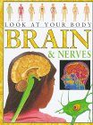 Brain and Nerves (Look at Your Body) Non-fiction