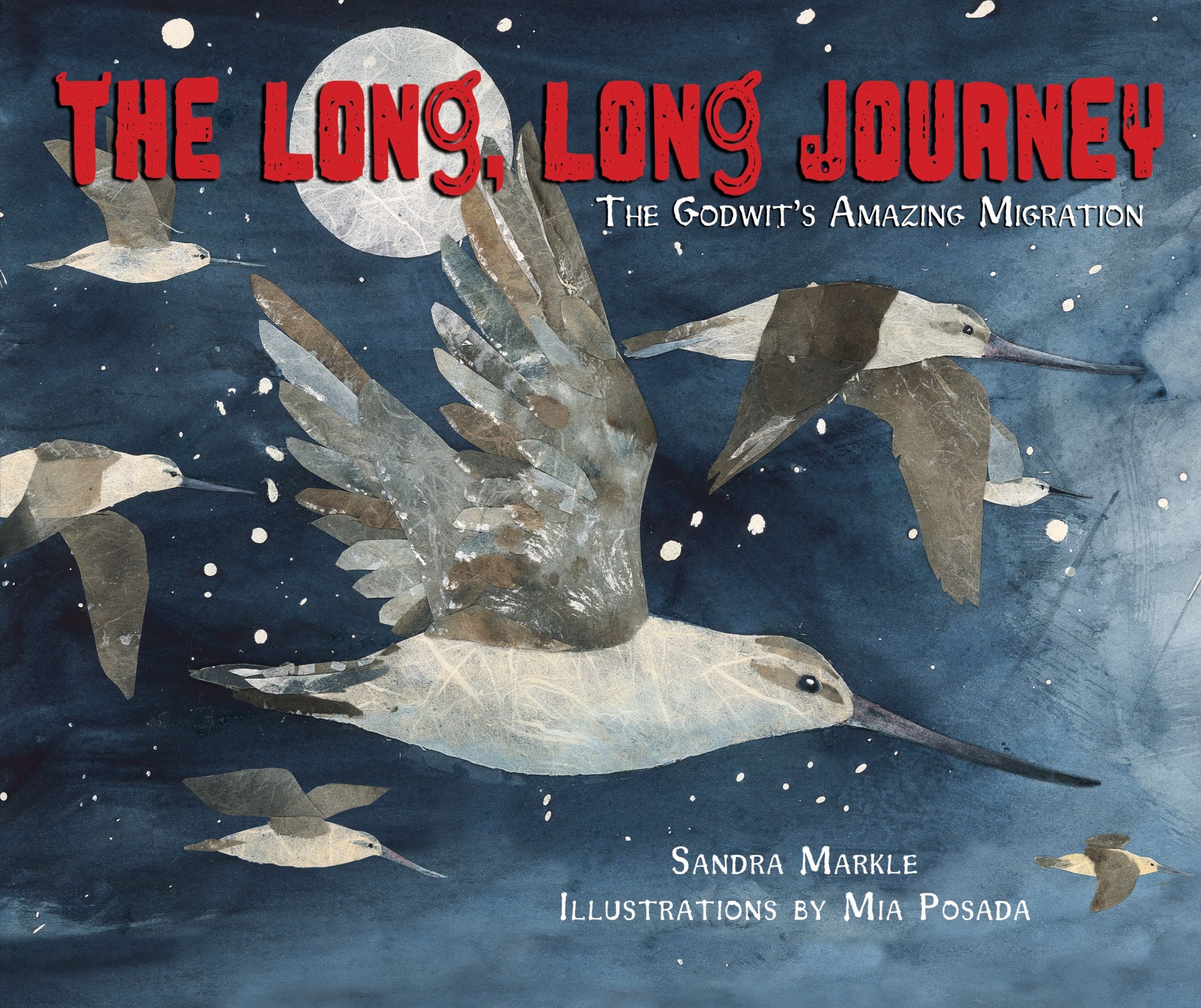 The Long, Long Journey: The Godwit's Amazing Migration Non-fiction