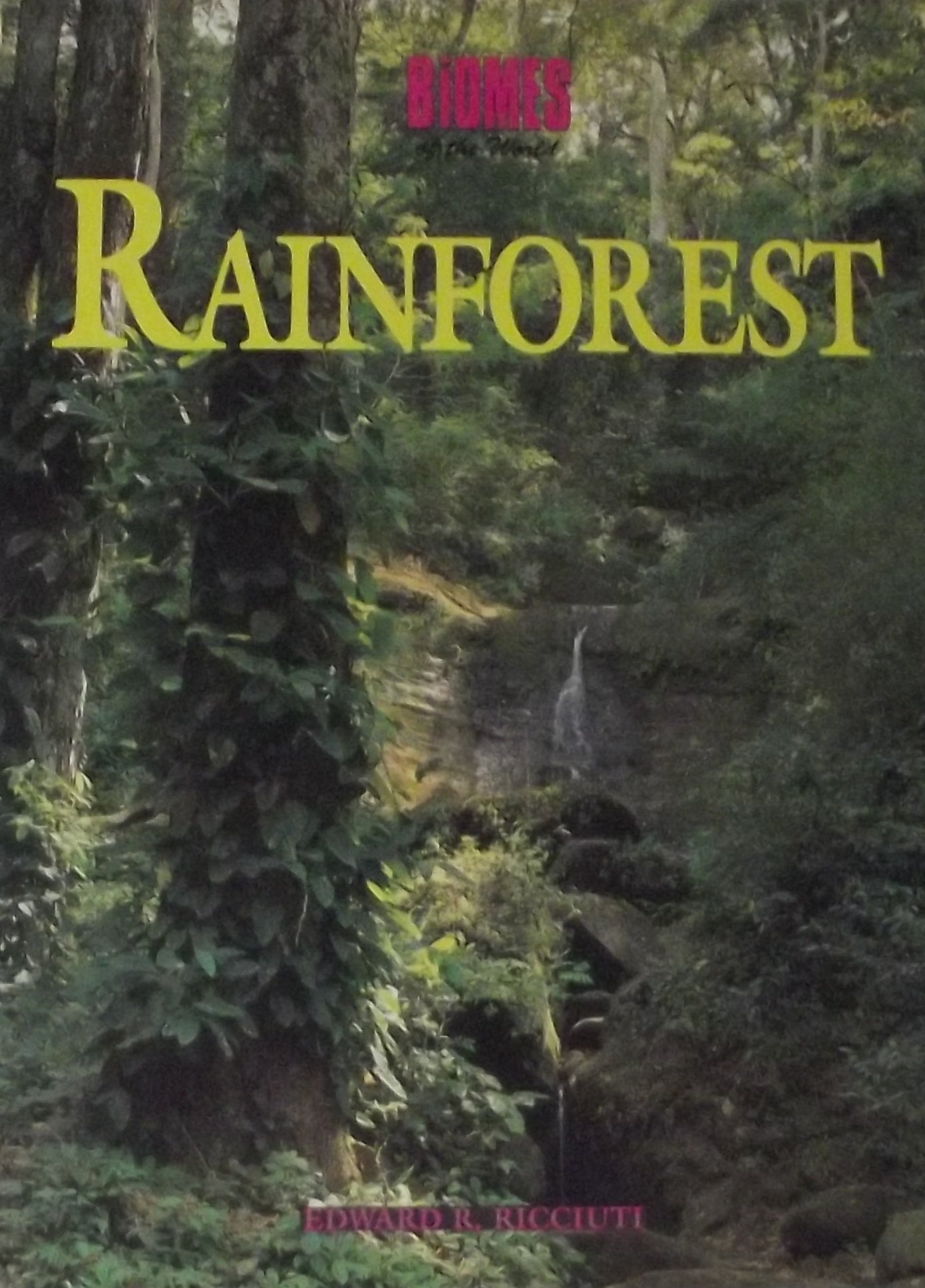 Rainforest (Biomes of the World) Books