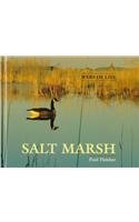 Salt Marsh (Webs of Life) Non-fiction