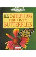 How Caterpillars Turn into Butterflies (Nature's Mysteries) Non-fiction