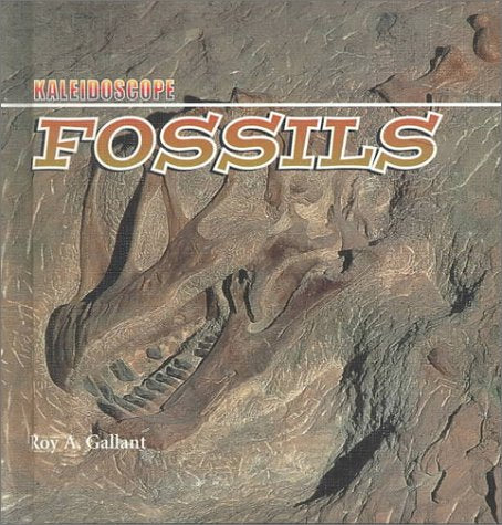 Kaleidoscope Earth Science: Rocks, Minerals, Water, Fossils (Kaleidoscope, 1) Non-fiction
