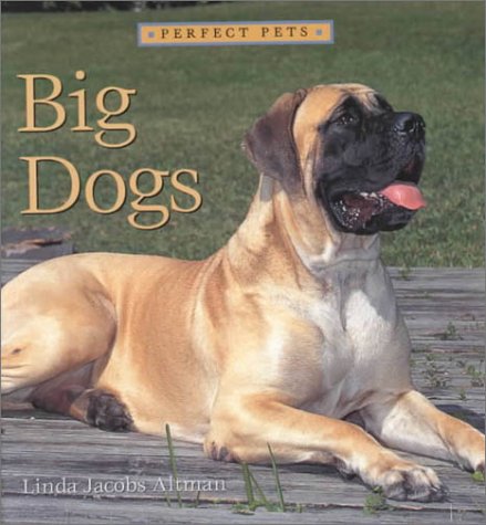Big Dogs (Perfect Pets) Non-fiction