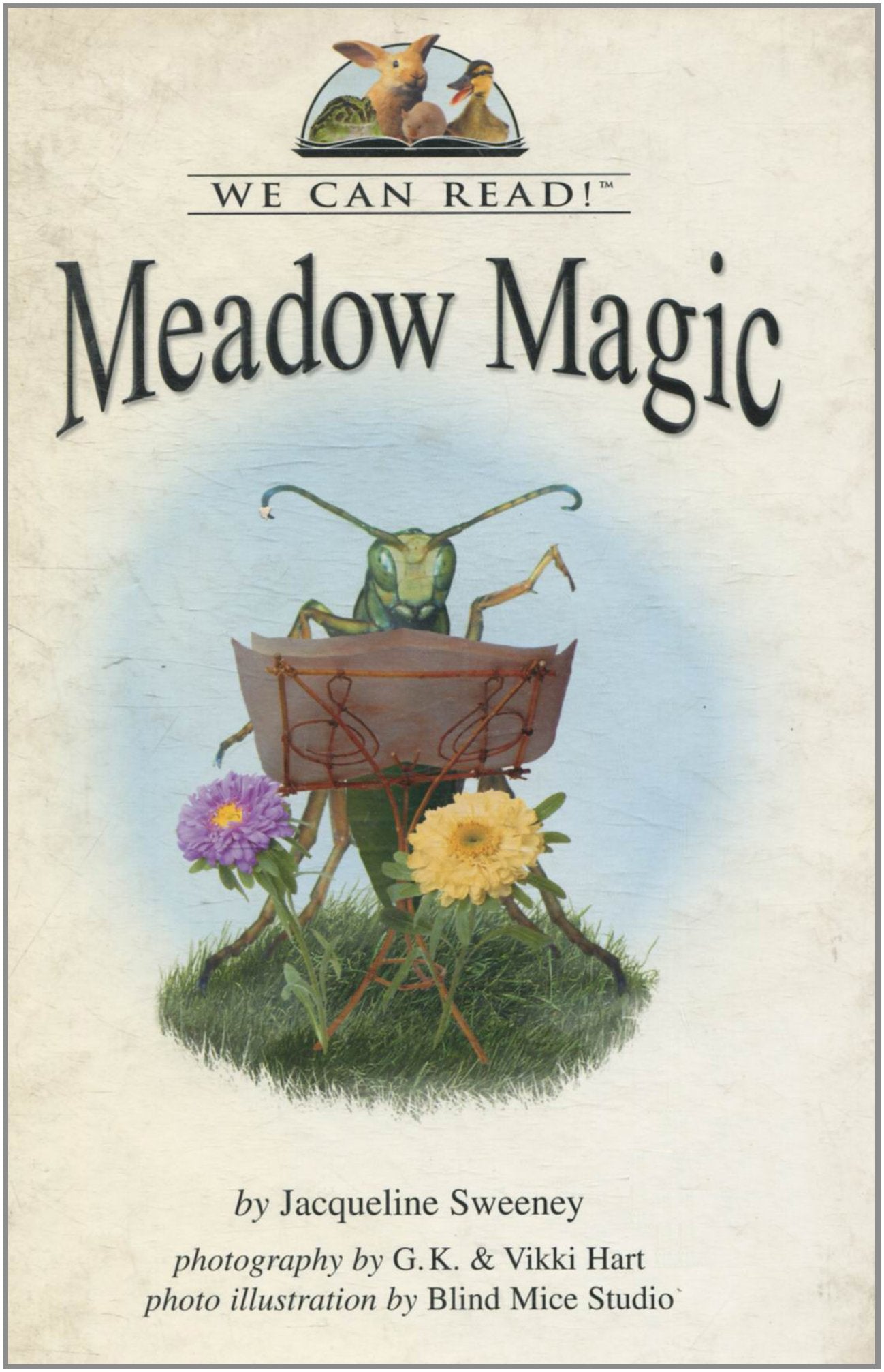 Meadow Magic (We Can Read!) Non-fiction