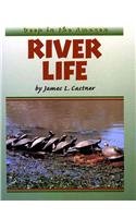 Product Image: River Life (Deep in the Amazon)
