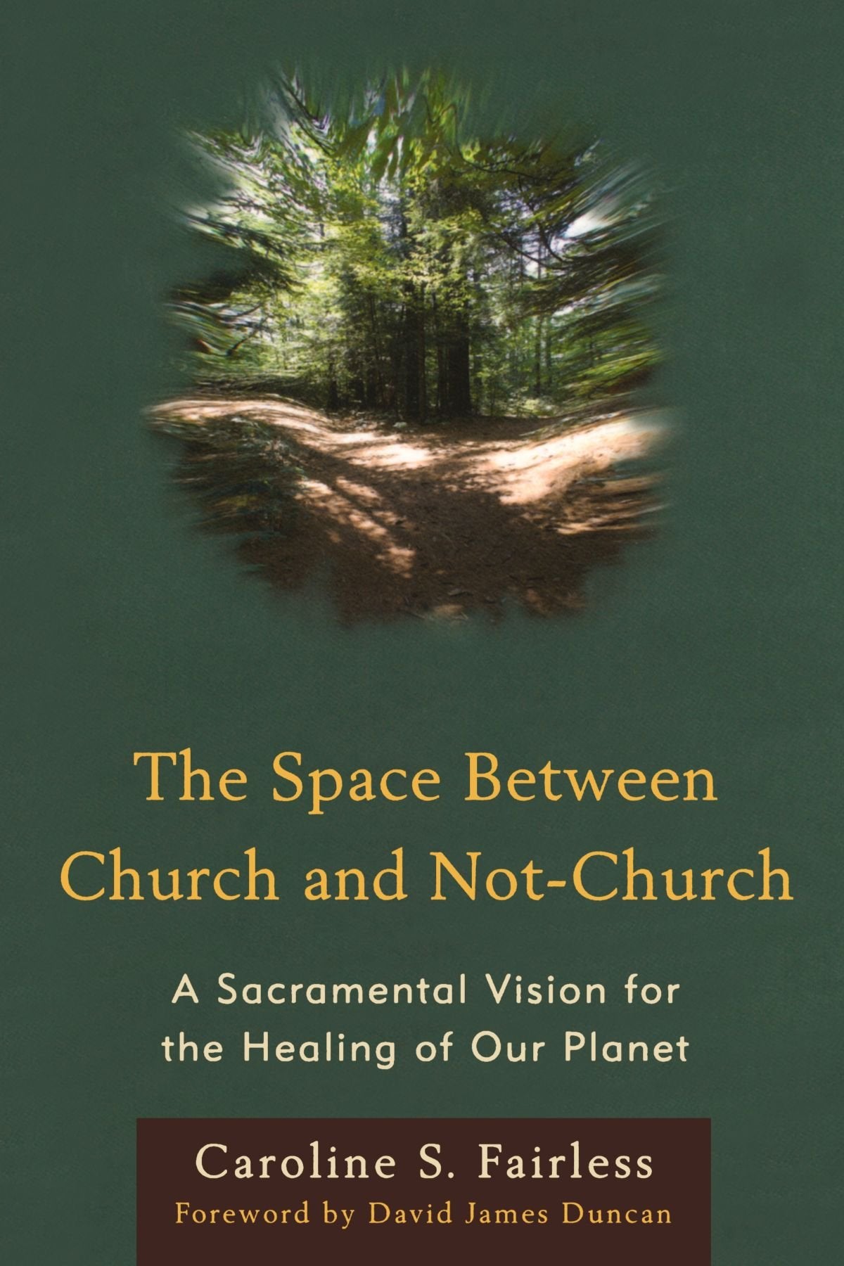 SPACE BETWEEN CHURCH & NOT CHURCH:A SAC: A Sacramental Vision for the Healing of Our Planet Mathematics