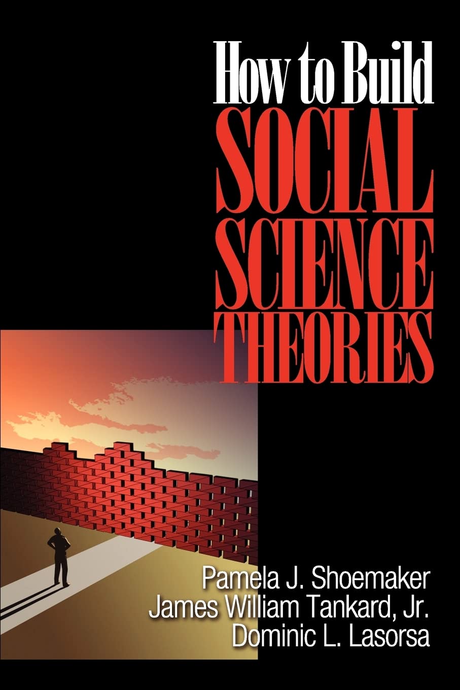 How to Build Social Science Theories Law