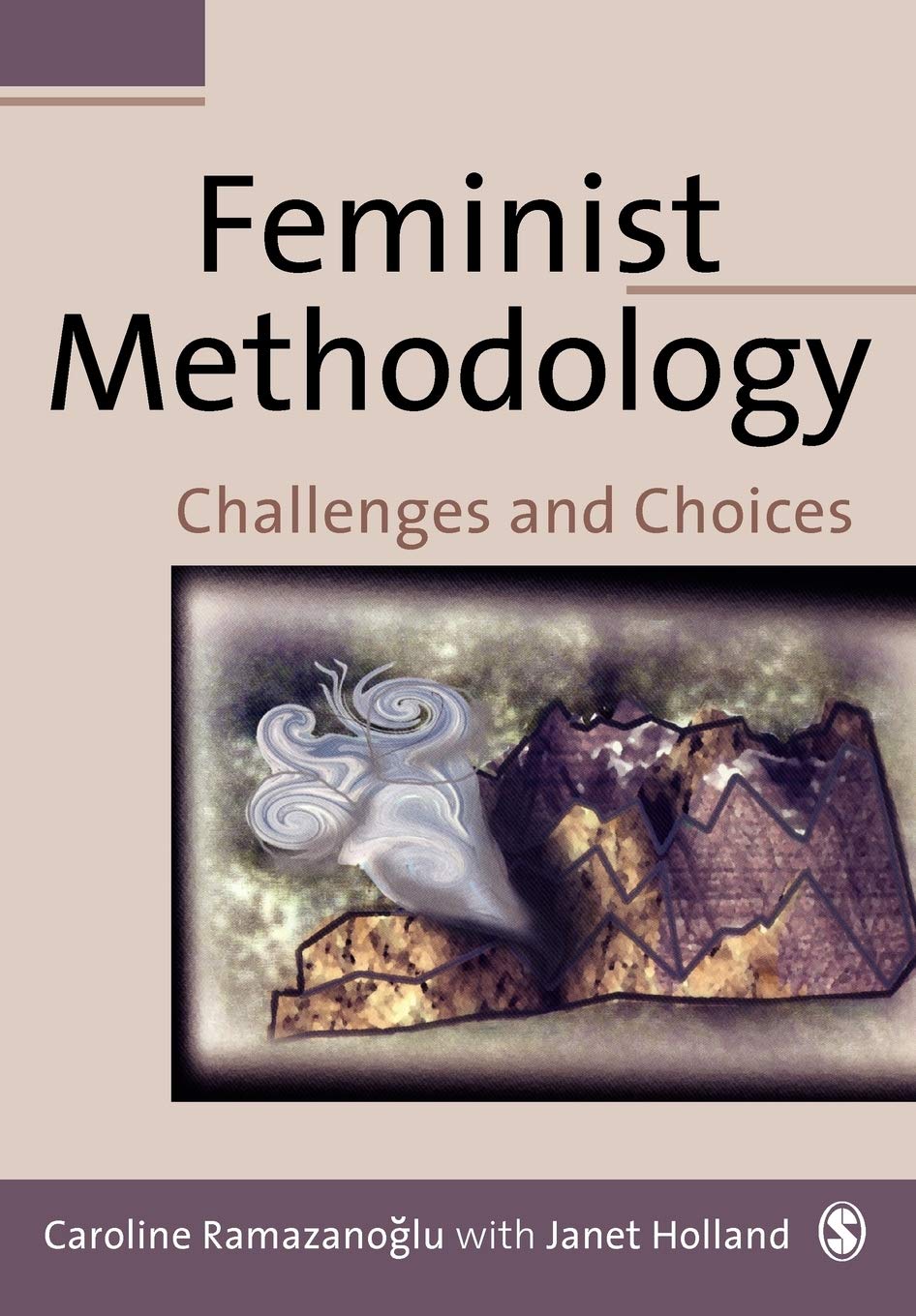 Feminist Methodology Law Books