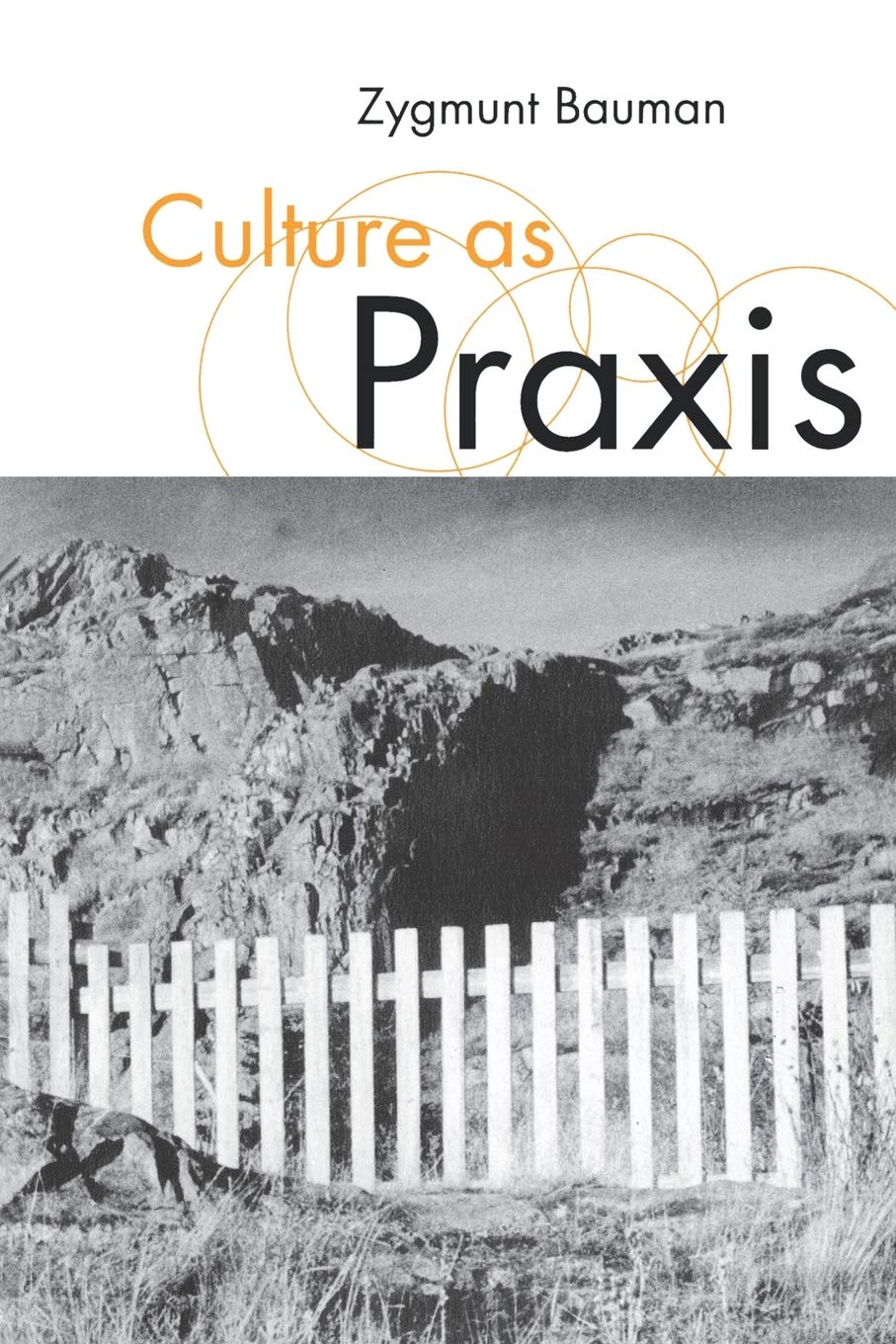 Culture as Praxis (Published in association with Theory, Culture & Society) Social Sciences